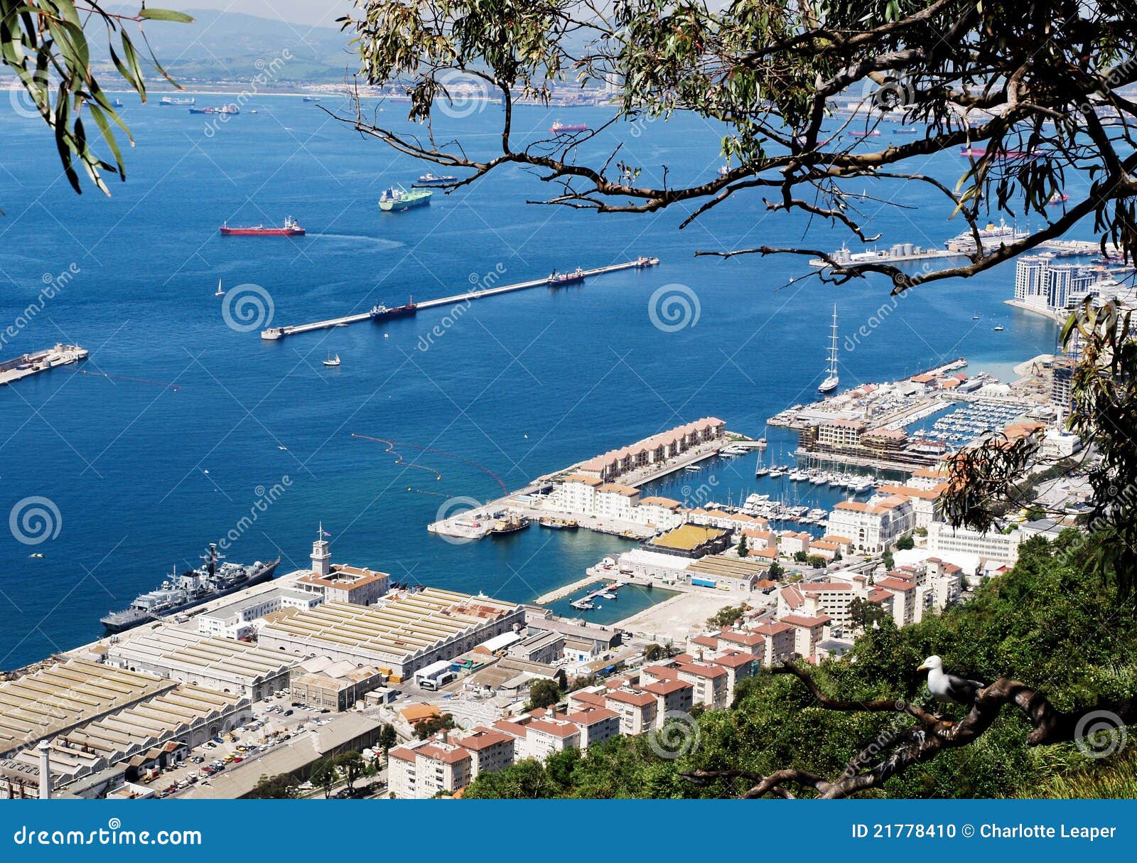 Gibraltar Harbour and Port stock photo. Image of landscape 21778410