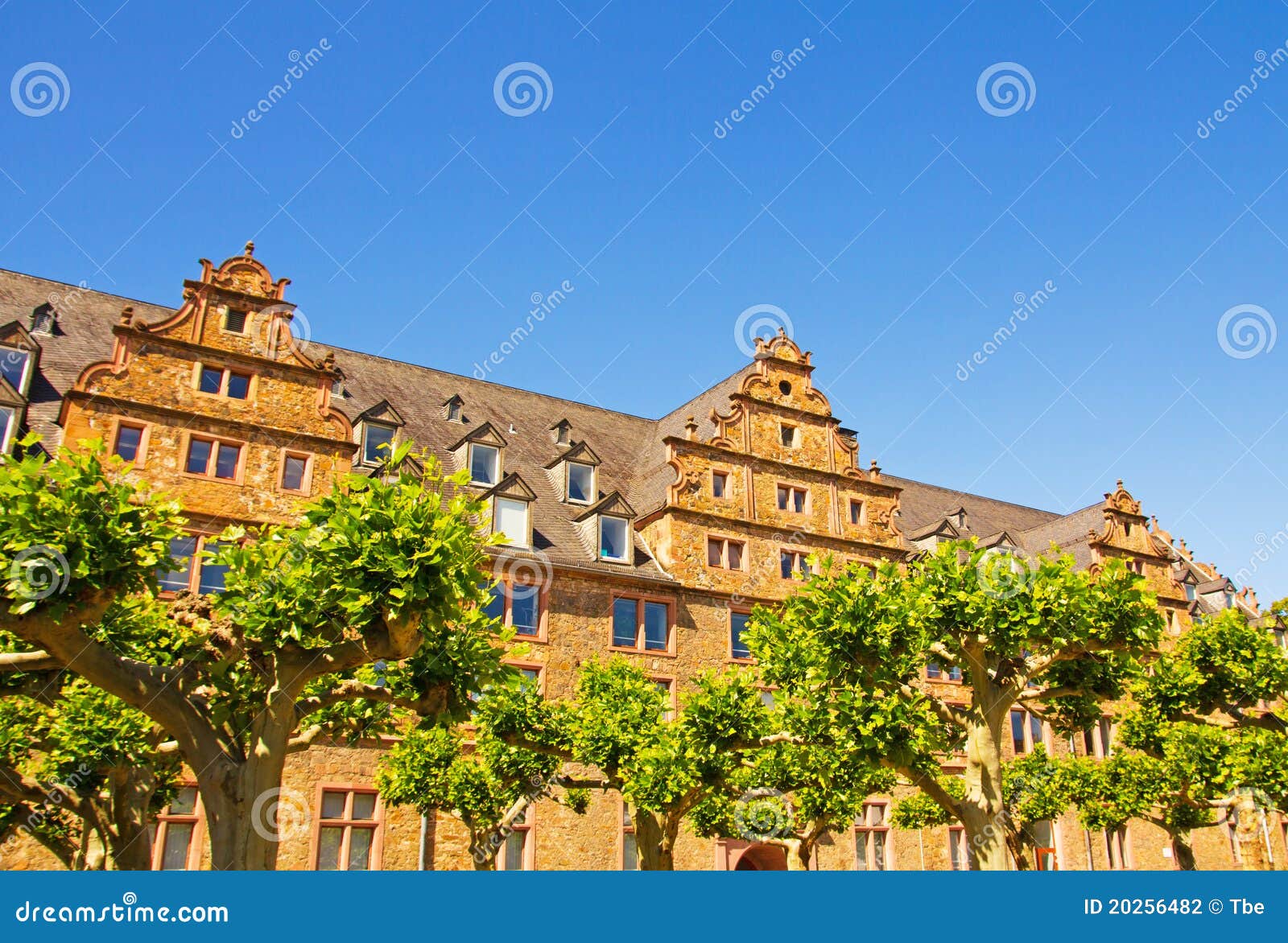 Giessen Castle stock photo. Image of hesse, tree, german 20256482