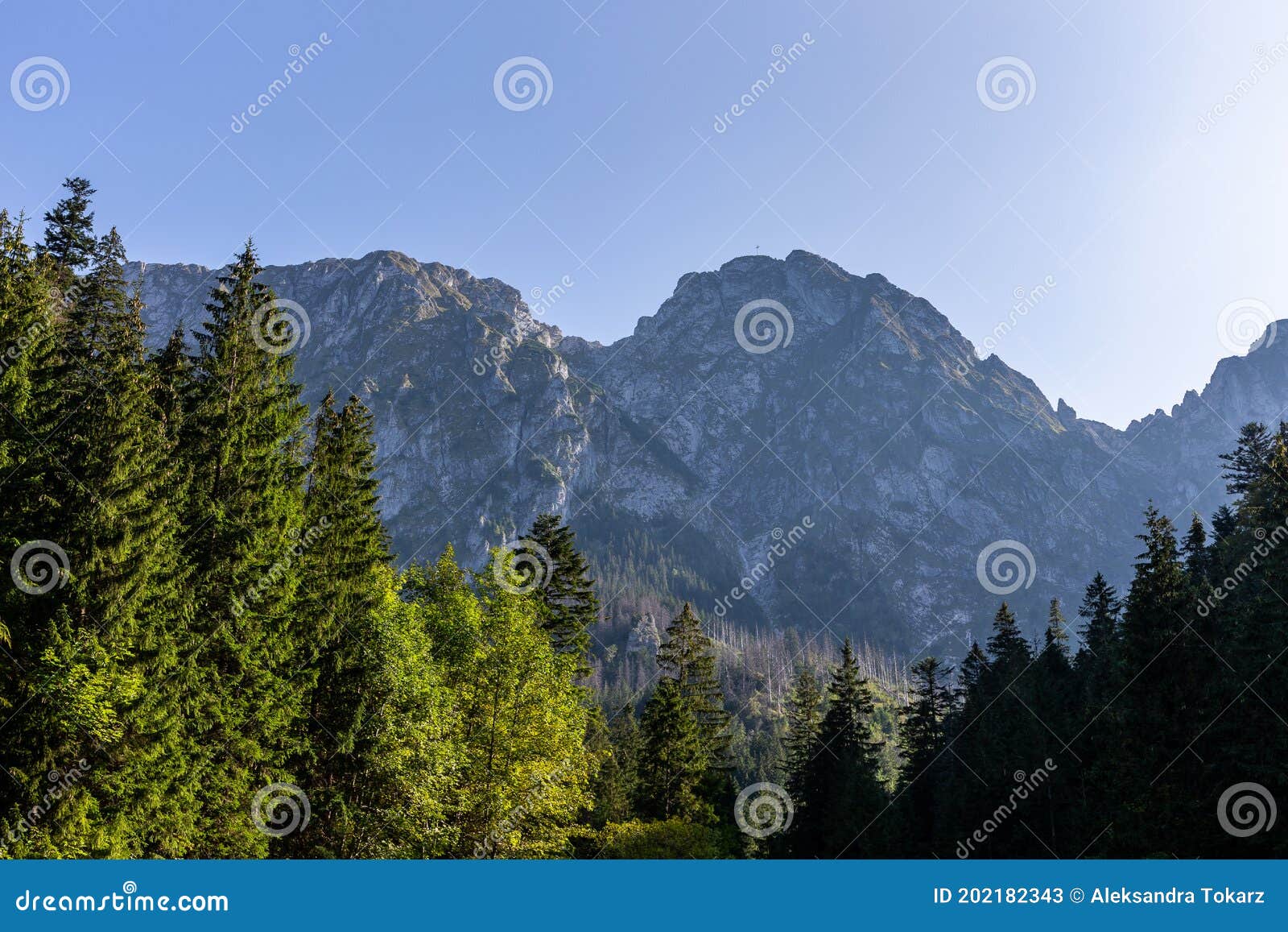 giewont mountain sleeping knight in tatra mountains in poland, view of the great giewont peak with steel cross among pine trees
