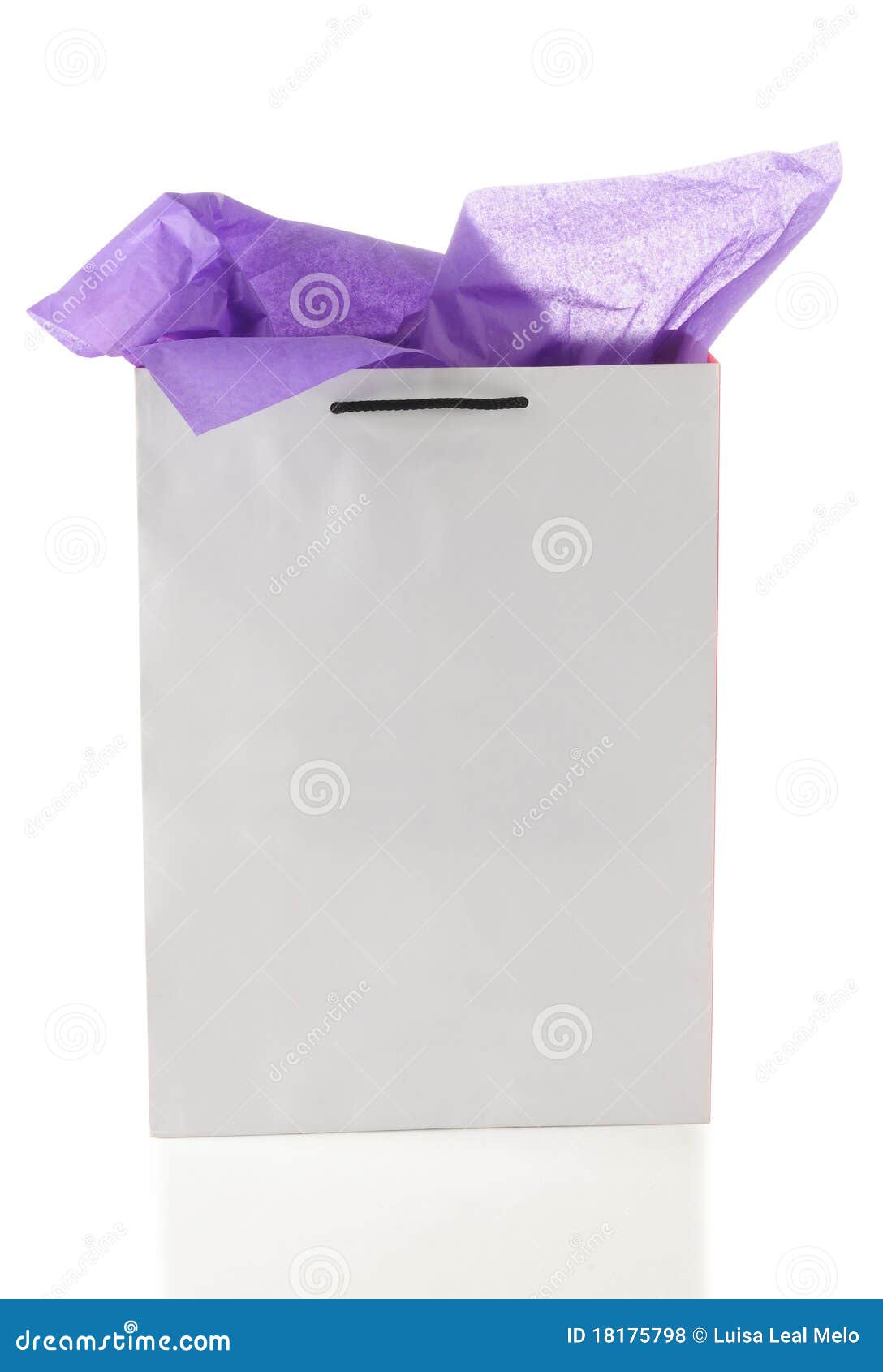 Gift bag. stock photo. Image of empty, container, party 18175798