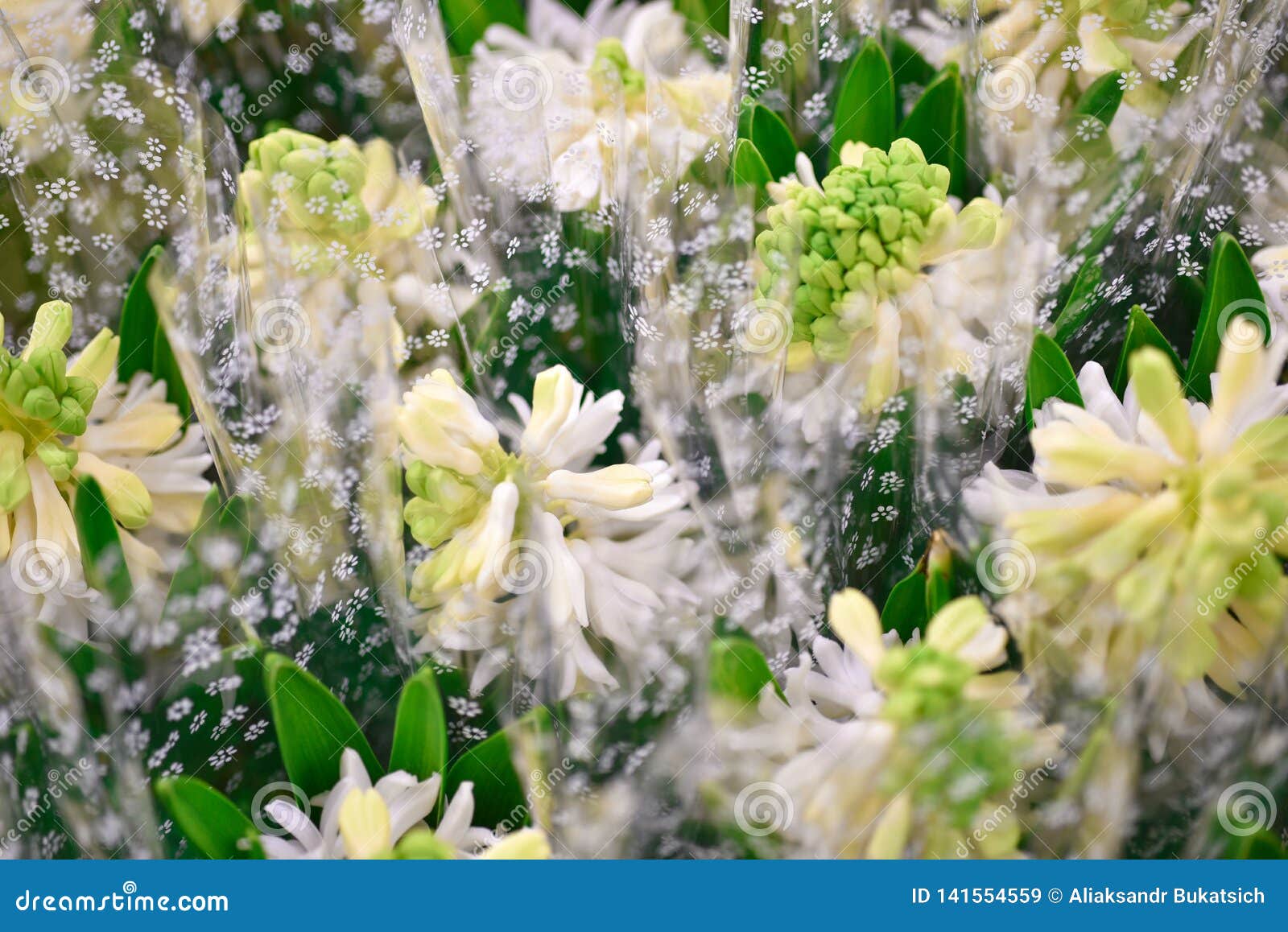 Gift Bouquet Flowers White Bells Stock Image Image of flowers