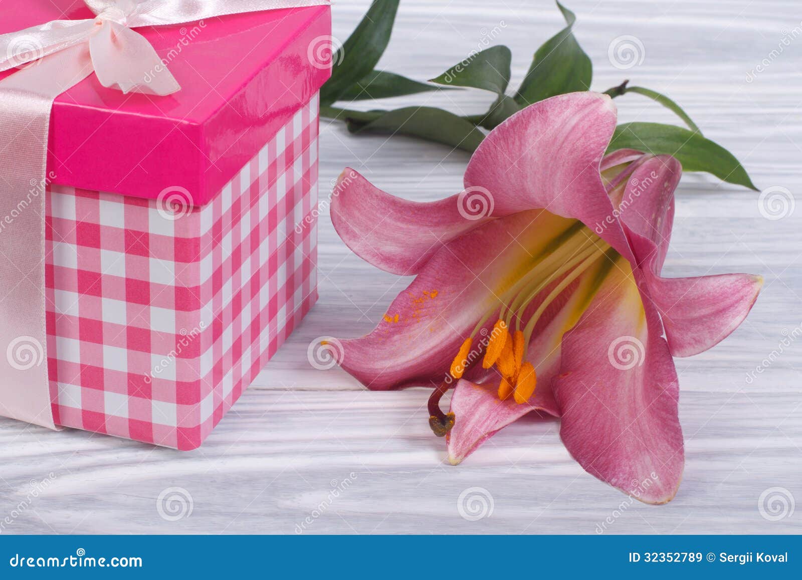 Gift Box with a Bow and a Beautiful Lily Flower Stock Image Image of