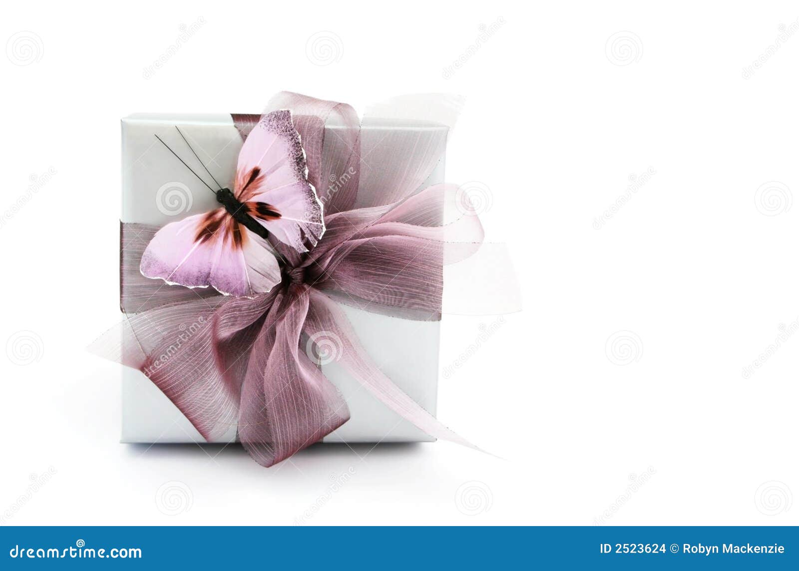 Gift Box with Butterfly stock photo. Image of cheerful 2523624