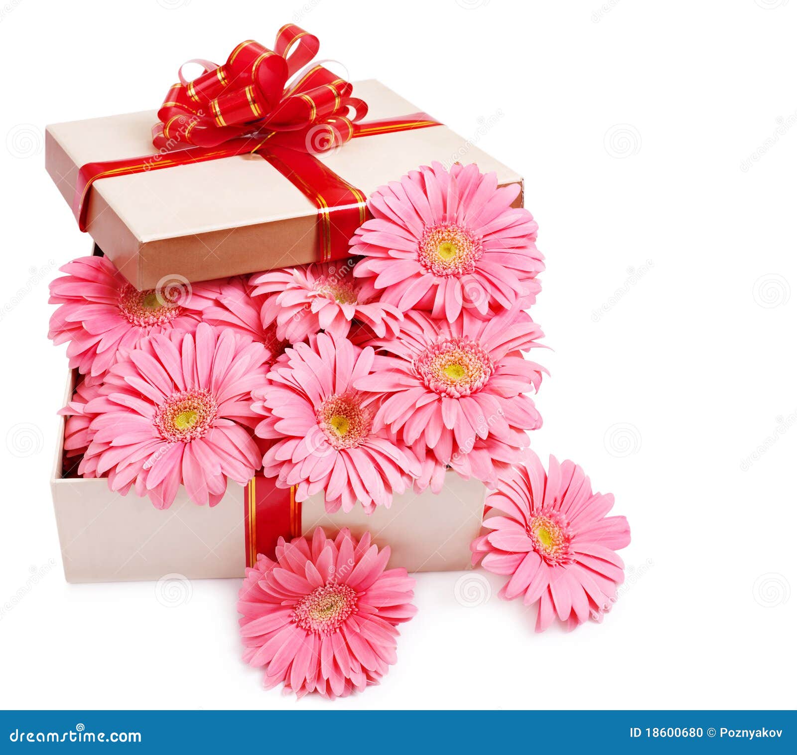 Gift box with flowers. stock photo. Image of blossom 18600680