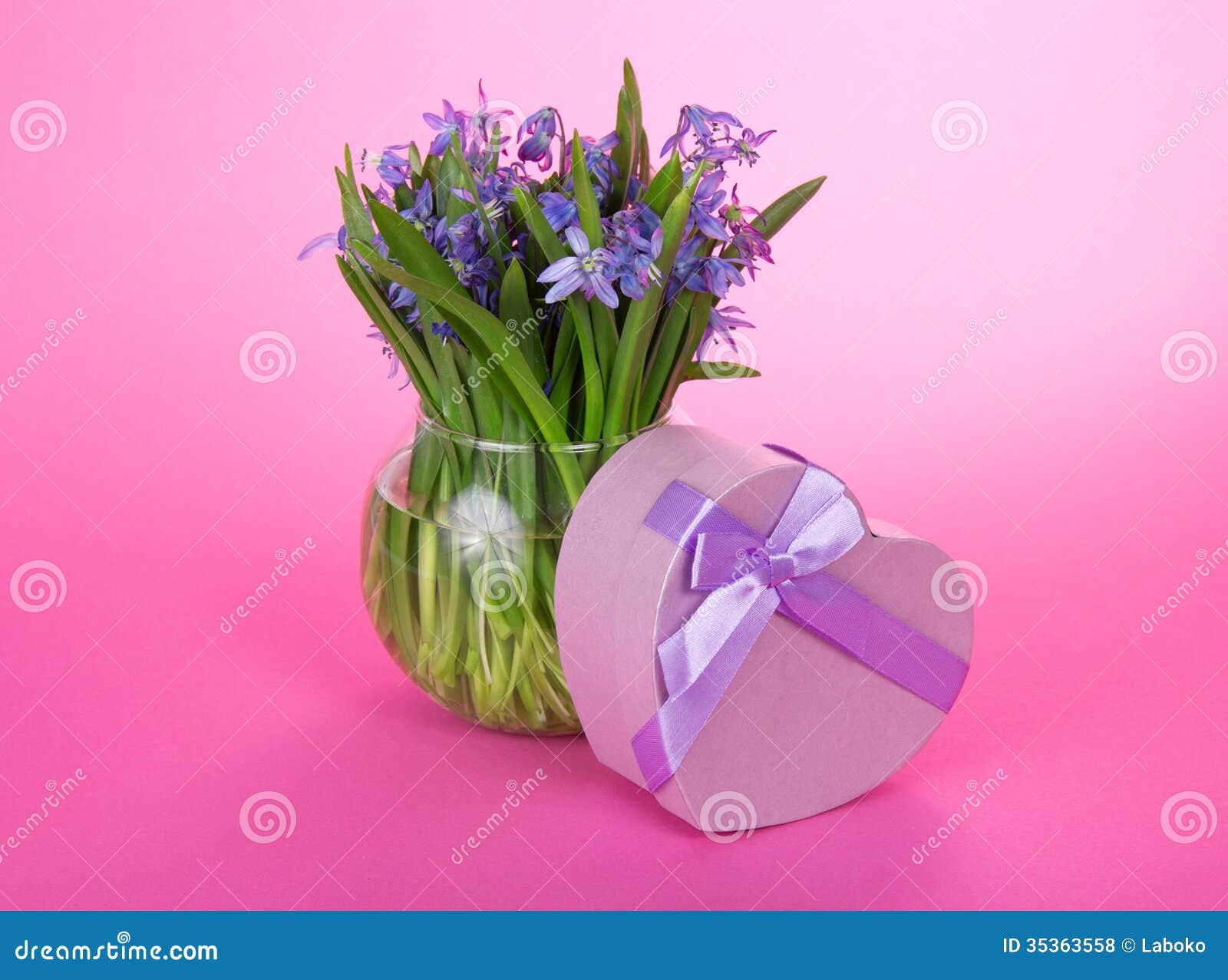 Gift Box with a Ribbon and Flowers in Vase Stock Photo Image of cheer