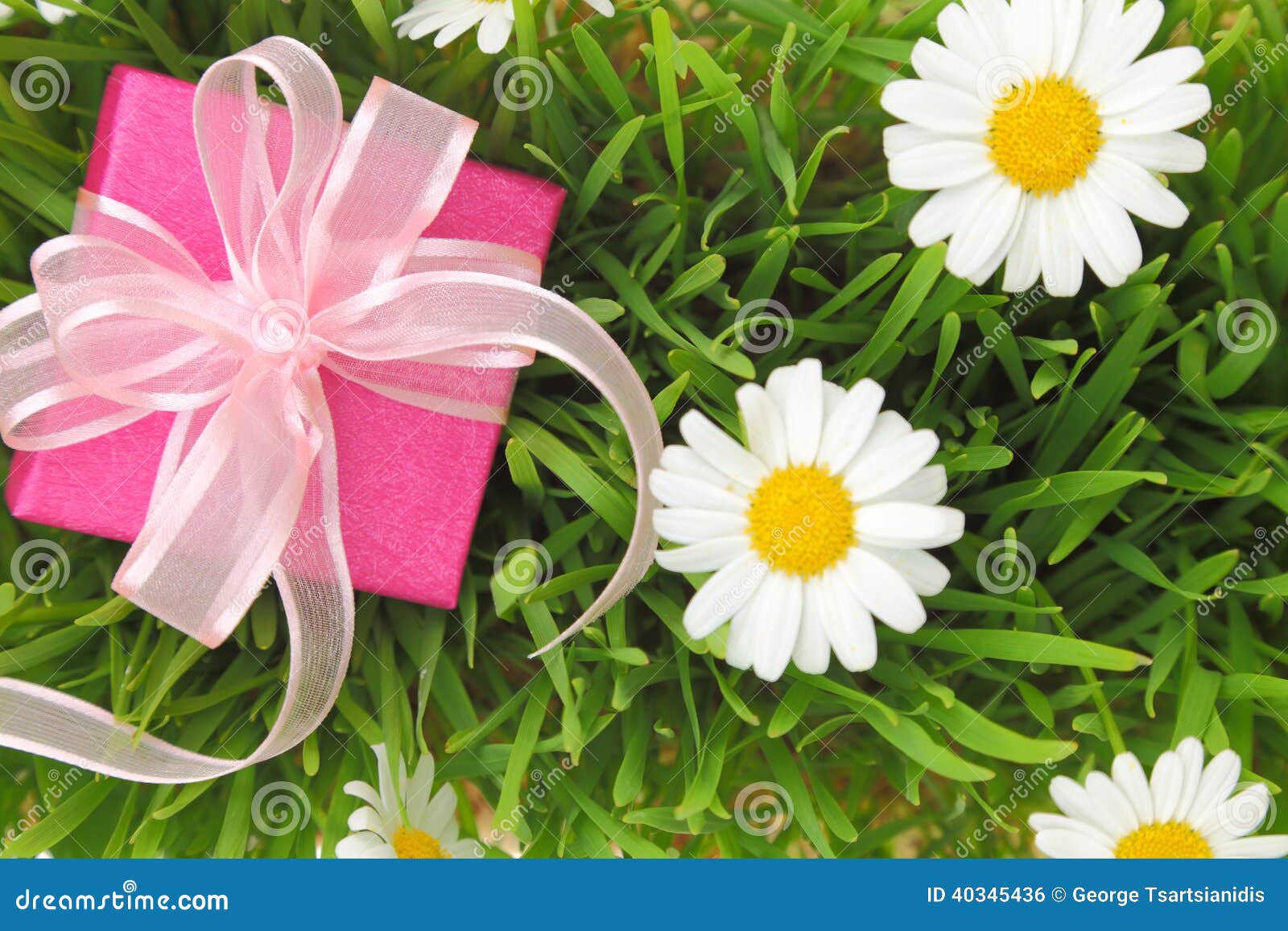 Gift box with ribbon stock photo. Image of flower, celebration 40345436