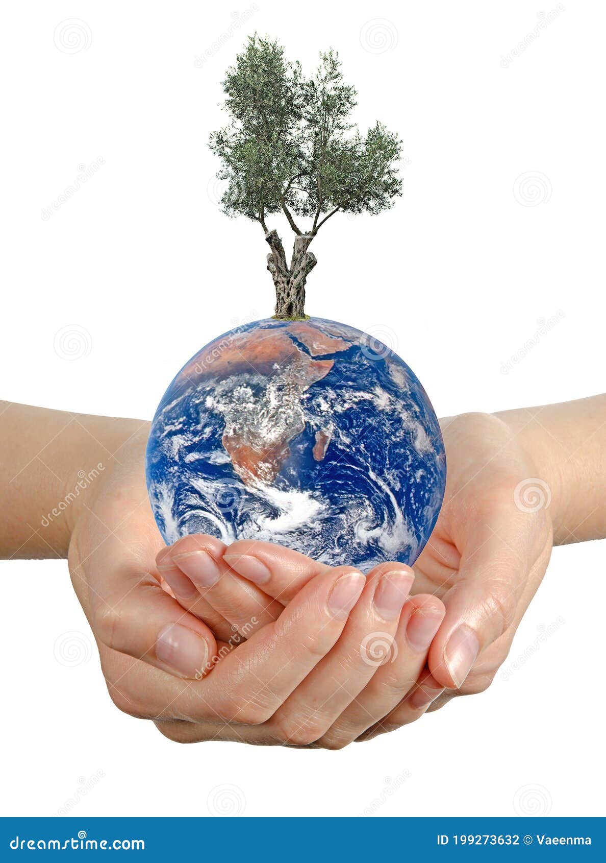 Gift of Earth. stock photo. Image of earthelements, environment 199273632