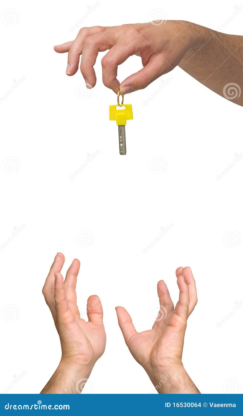 Gift of key stock photo. Image of isolated, hand, gesture 16530064
