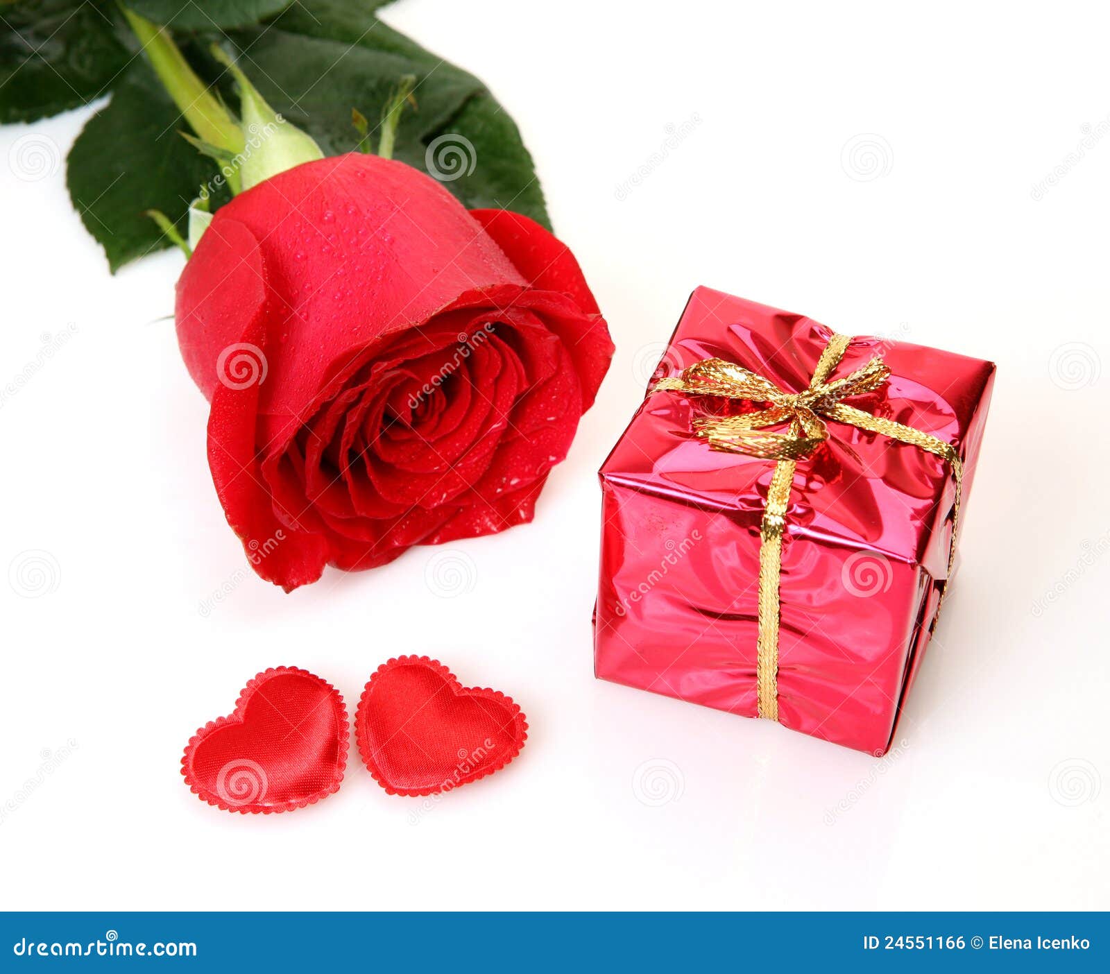 Gift and rose stock photo. Image of harmony, celebratory 24551166