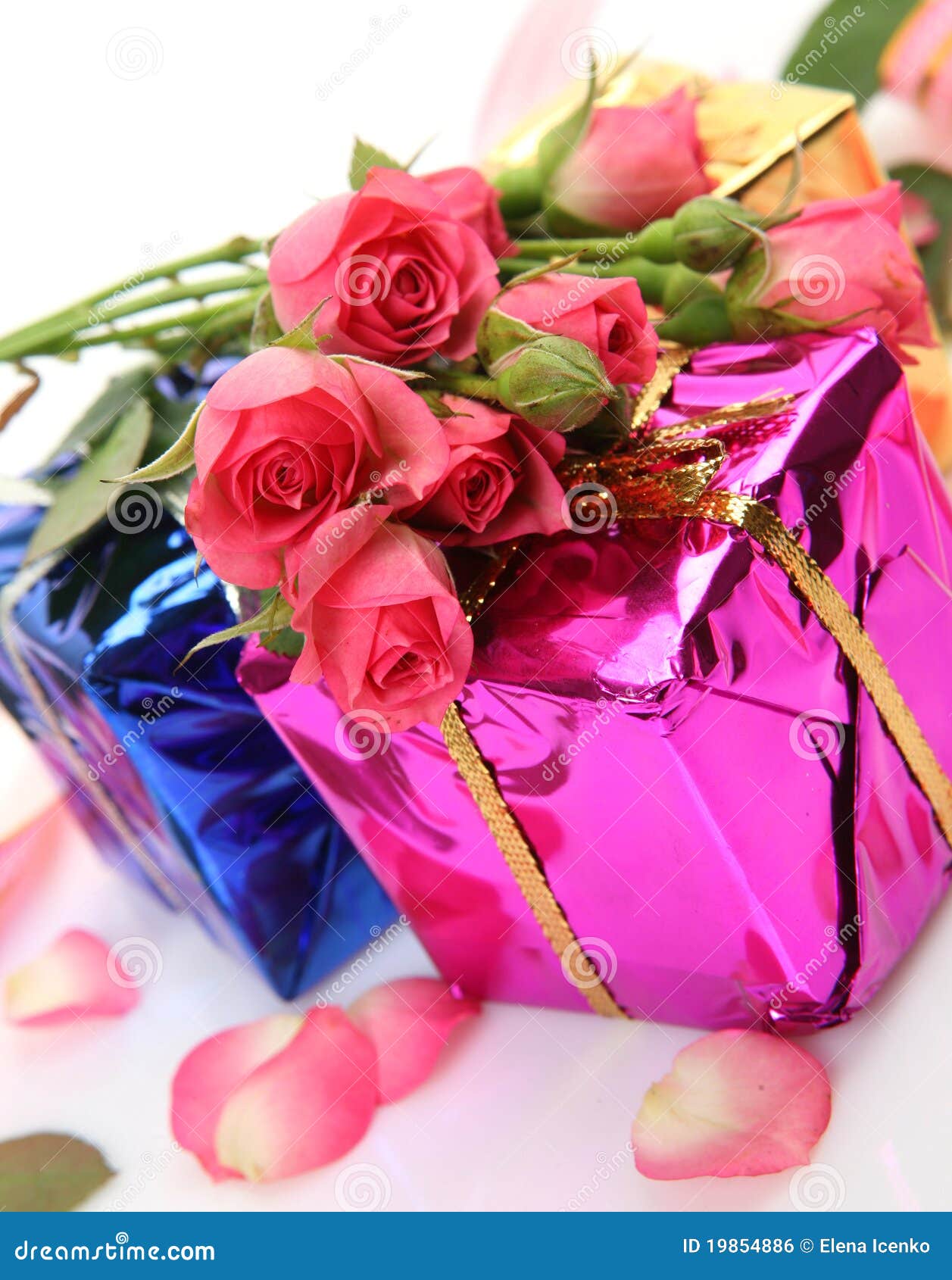 15 Best Types of Flowers for Birthday Gifts  Petal Republic