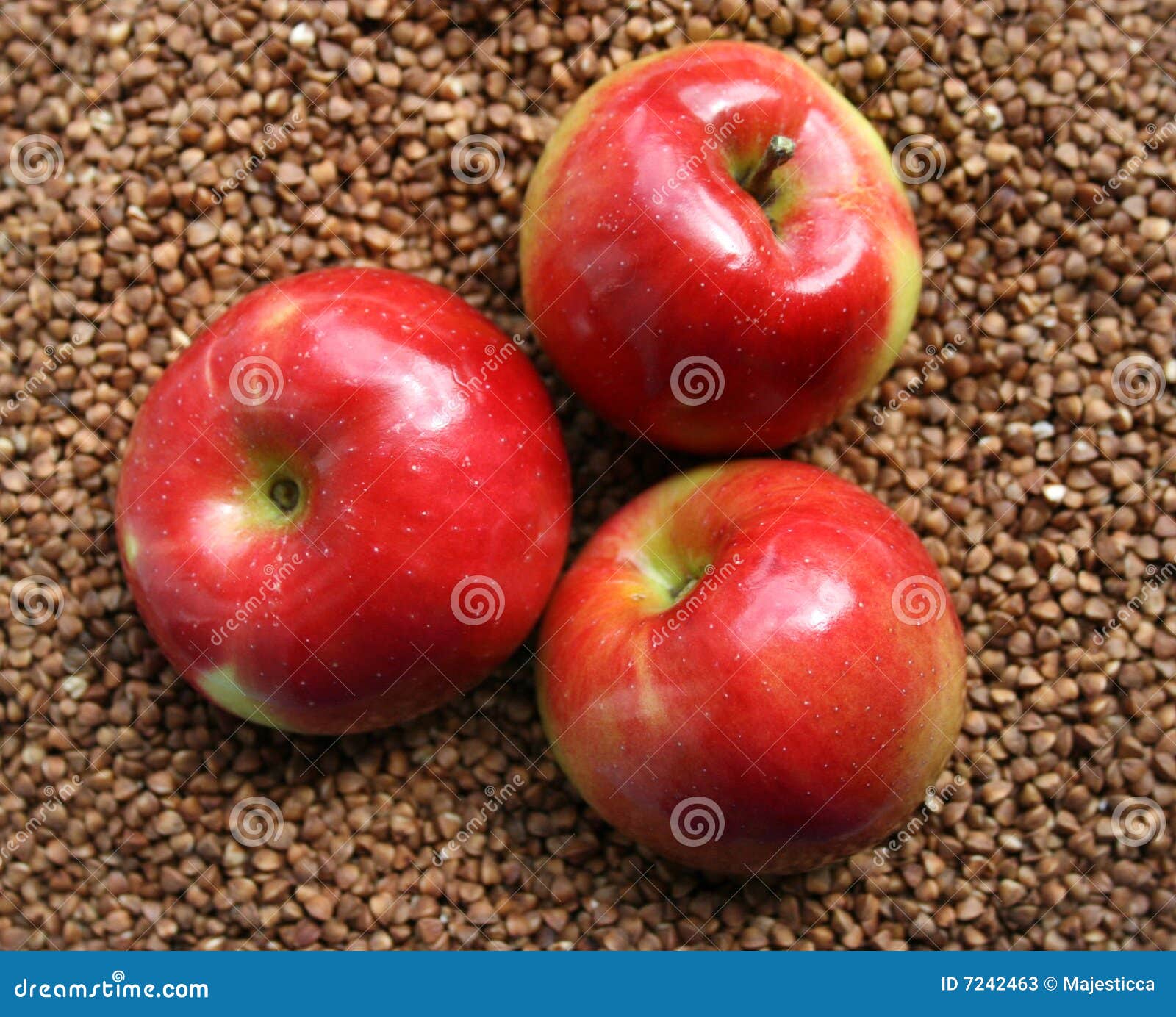 The gifts of nature stock image. Image of cook, vitamin 7242463