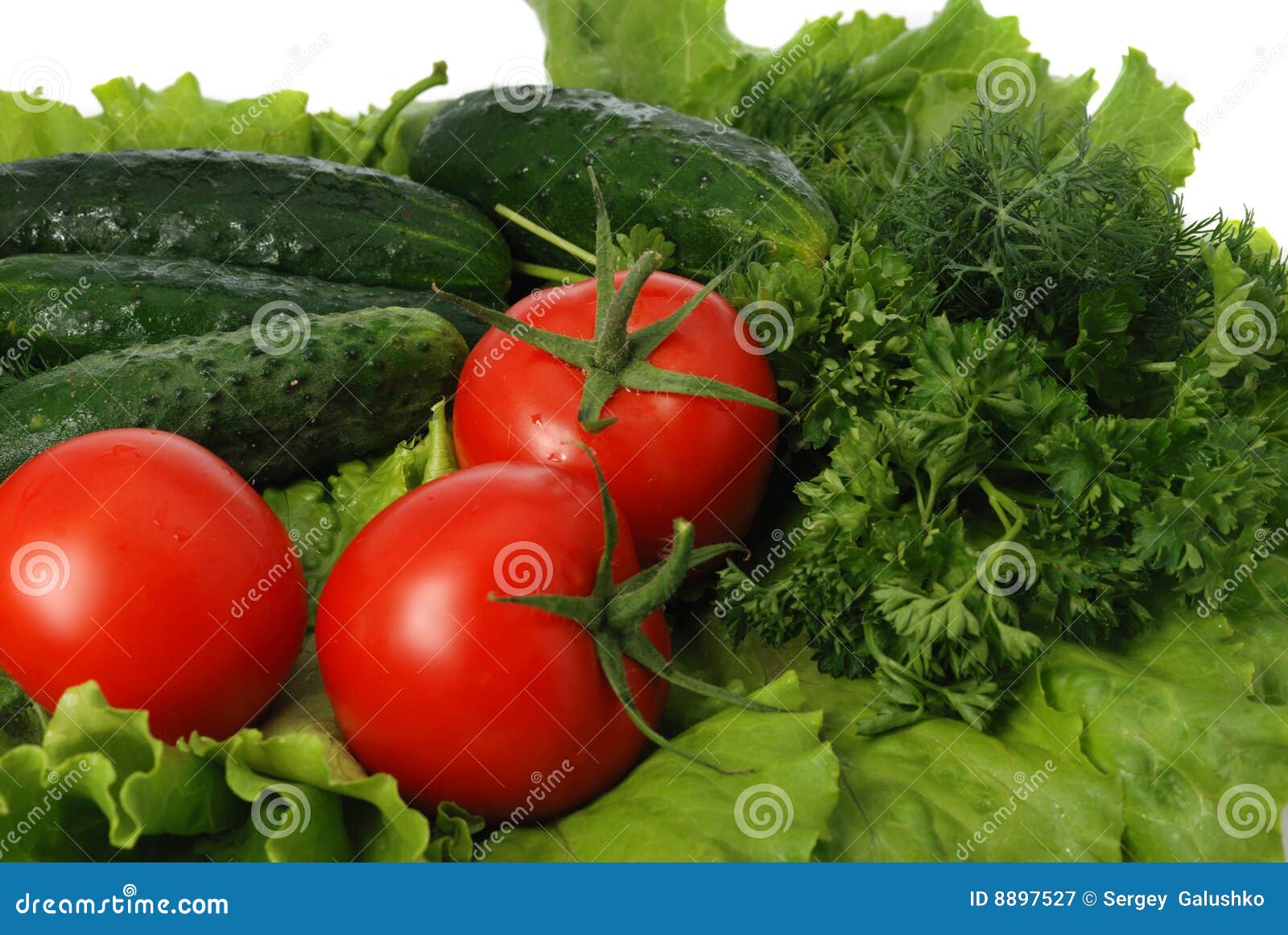 Gifts of the nature stock image. Image of brussels, collection 8897527