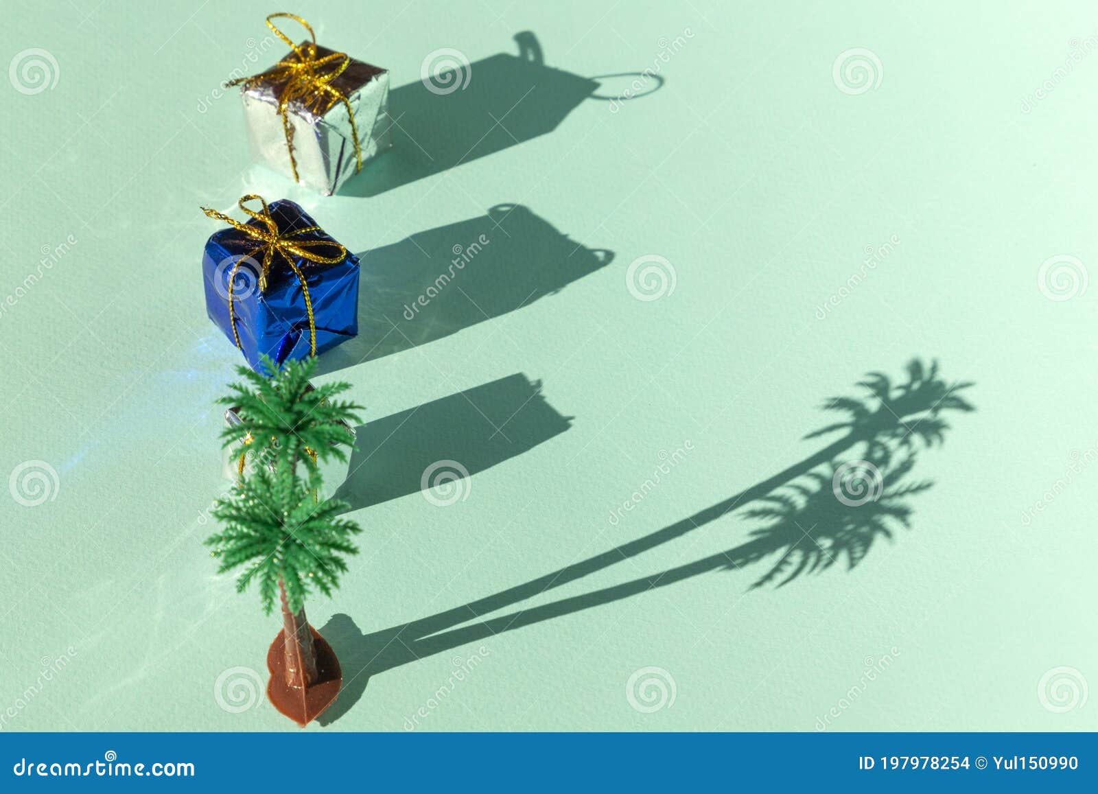 Gifts with Palm Tree, Shadows and Copyspace. Stock Photo - Image of 