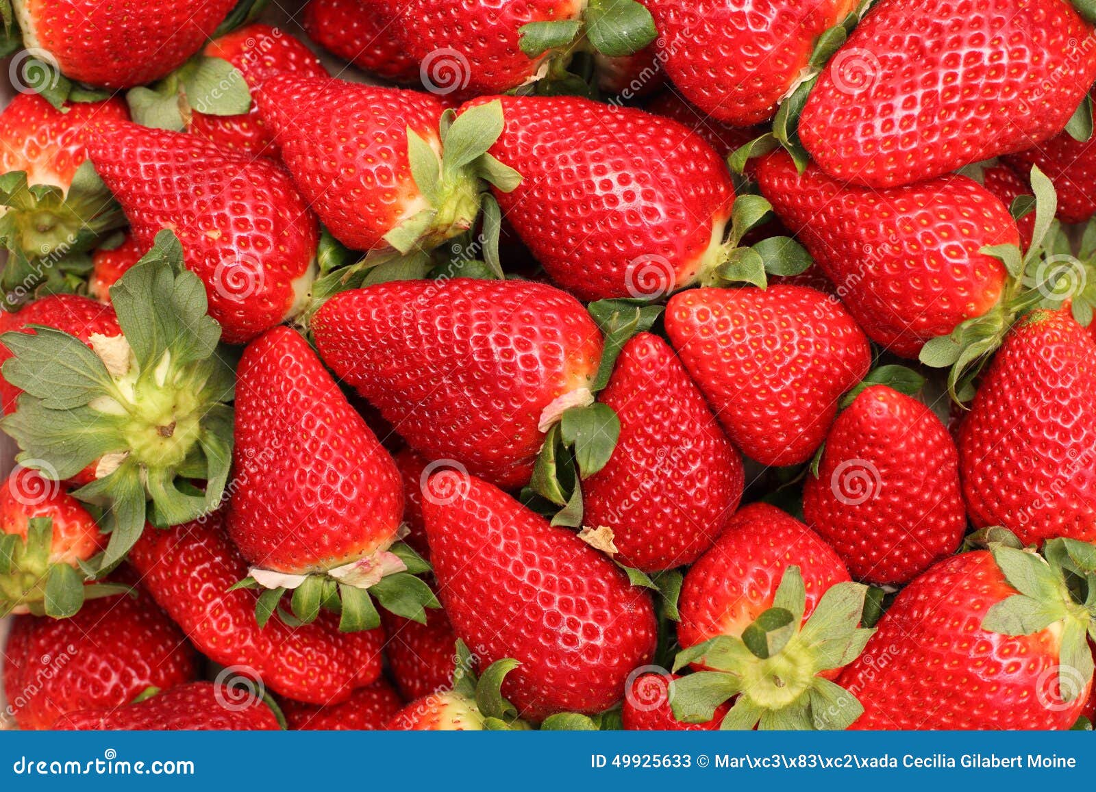 gigant strawberries