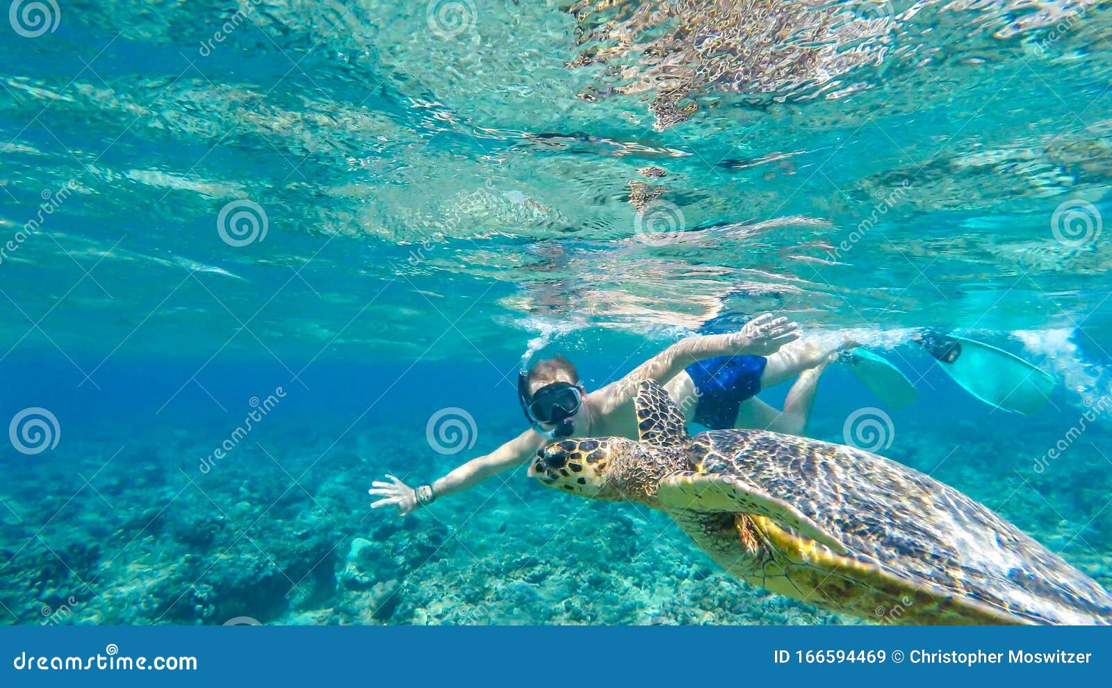 gili island - a man diving with turtle