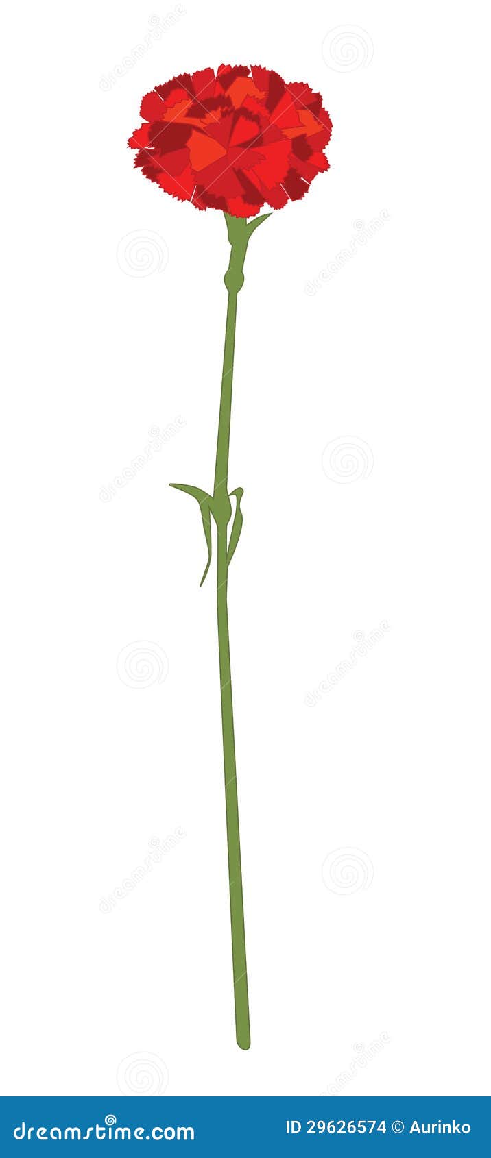 Gillyflower Stock Images Image 29626574