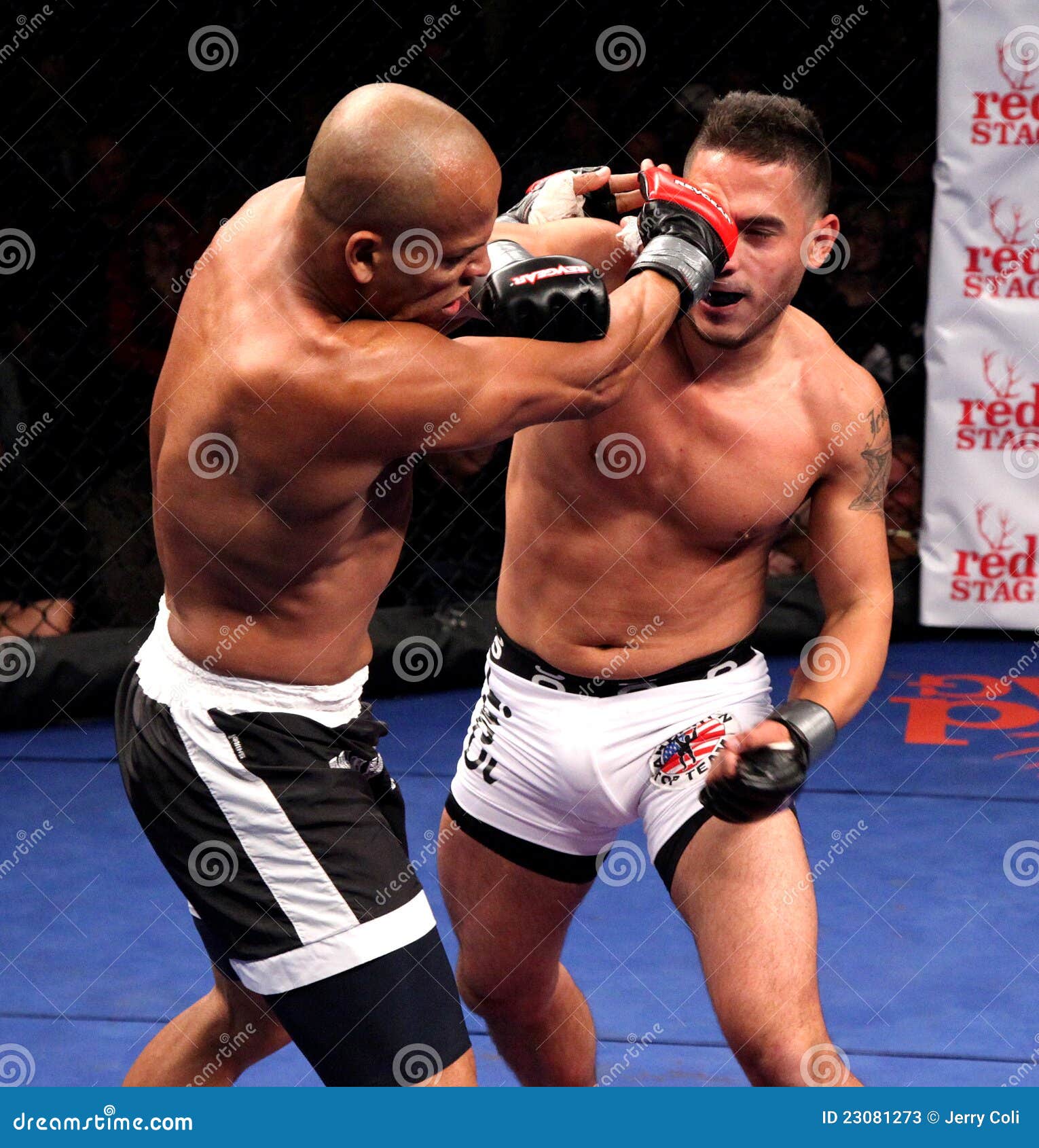 Gilvan Santos V. Rob Costa Mixed Martial Arts Editorial Stock Photo