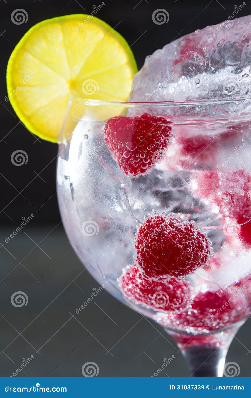 Gin Tonic Cocktail with Raspberry and Ice Macro Closeup Stock Image