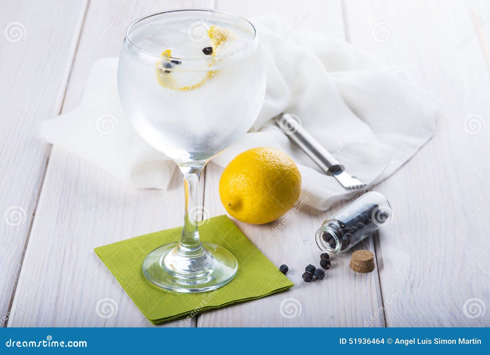Gin and Tonic on a Highball Glass Stock Photo Image of beries