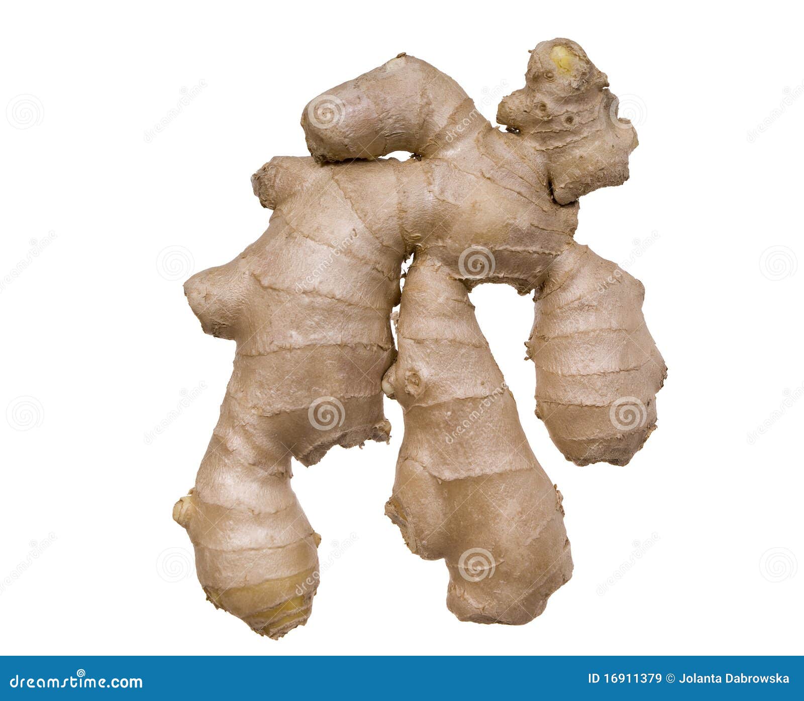 Ginger stock image. Image of food, ingredient, isolated 16911379