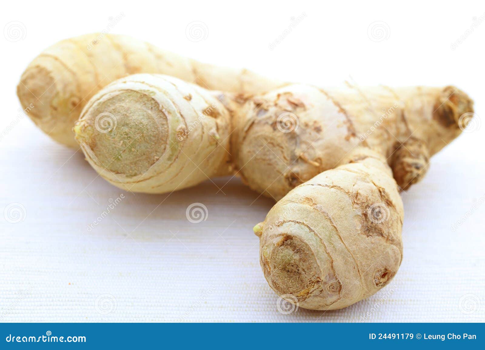 Ginger Cat Fur Texture Background. Pet Hair Texture Background. Royalty