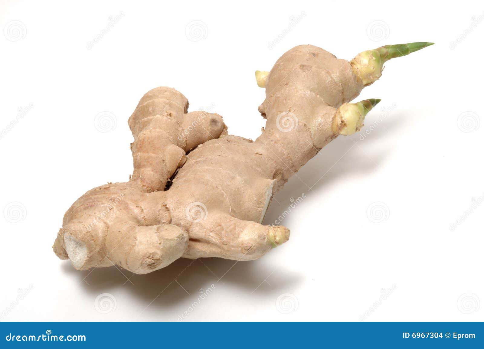 Ginger stock photo. Image of cookery, ginger, asia, gemmate 6967304