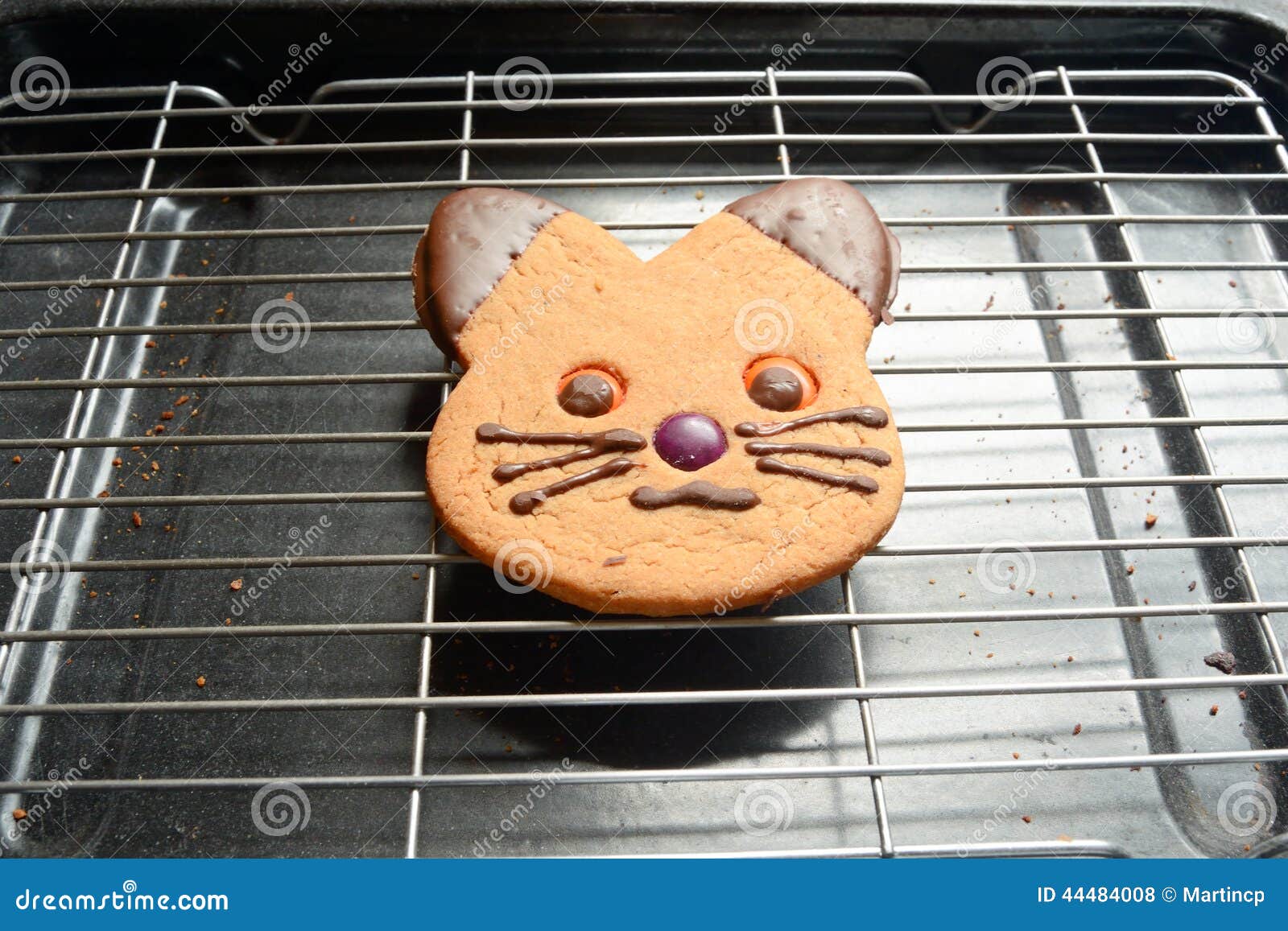 Ginger bread cat biscuit stock photo. Image of icing 44484008