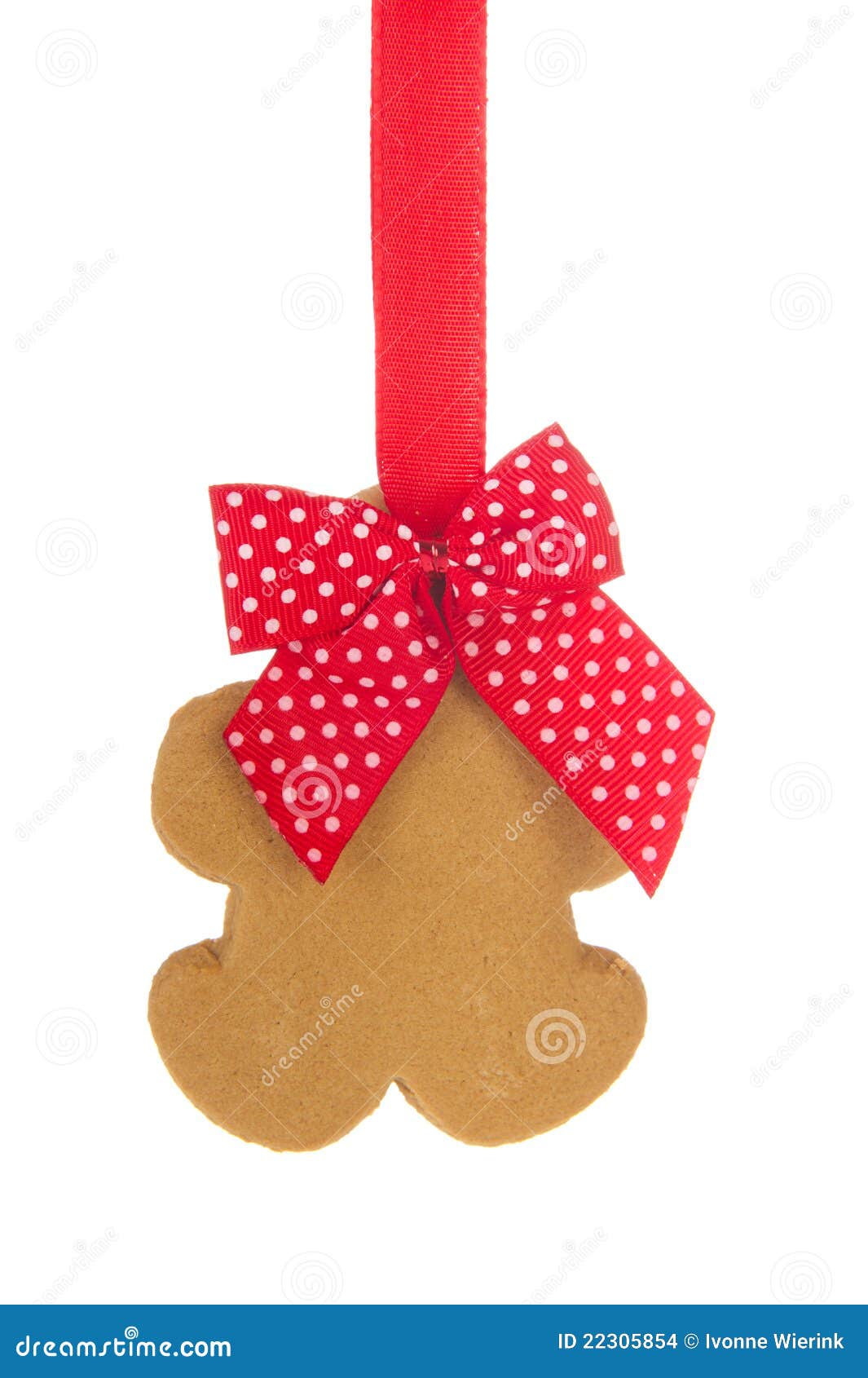 Ginger bread man stock photo. Image of coekies, white - 22305854