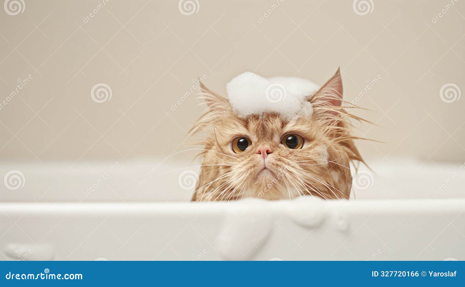 grumpy ginger cat bathes in a white sink with soap-covered fur, looking displeased with water on its head and dripping