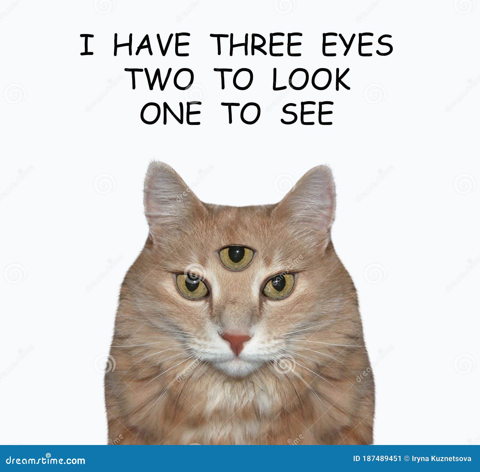 My Image 13