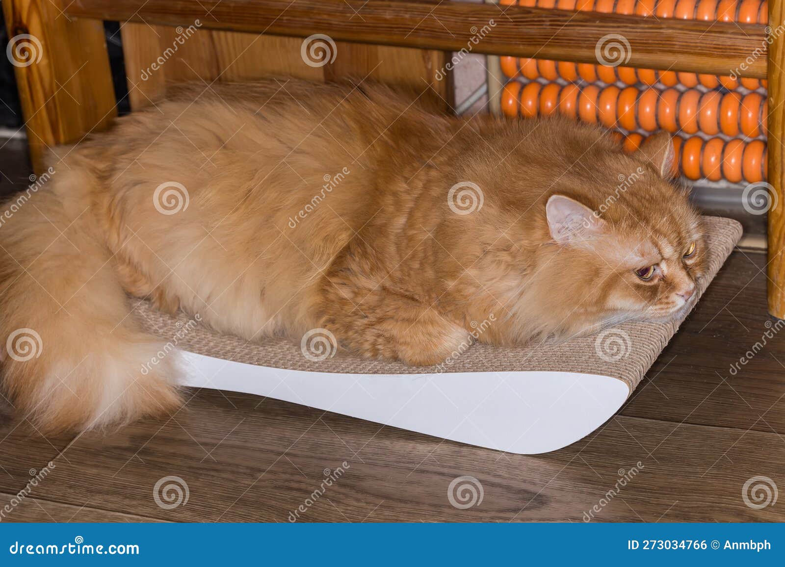 Raspador gato sale