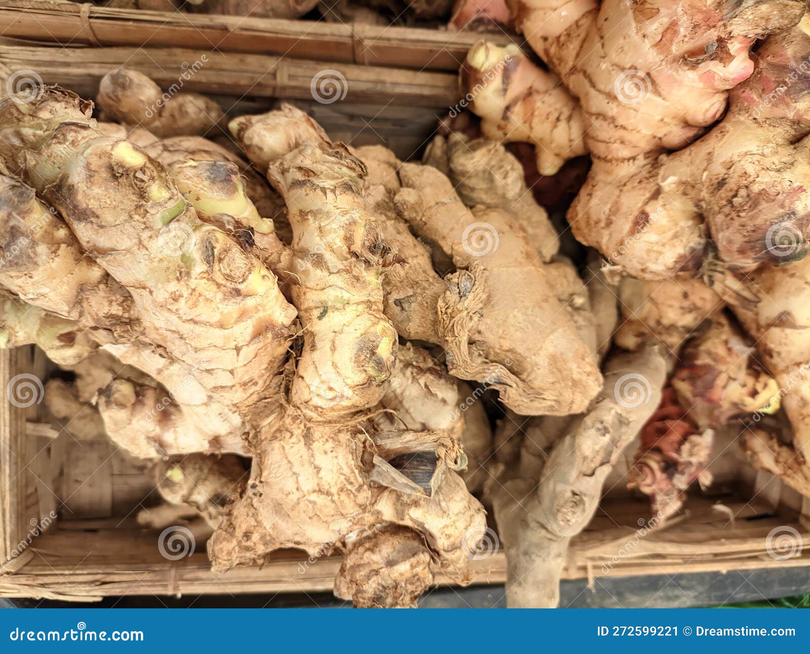 Ginger Good for Healthy Drink Stock Image Image of soil, food 272599221