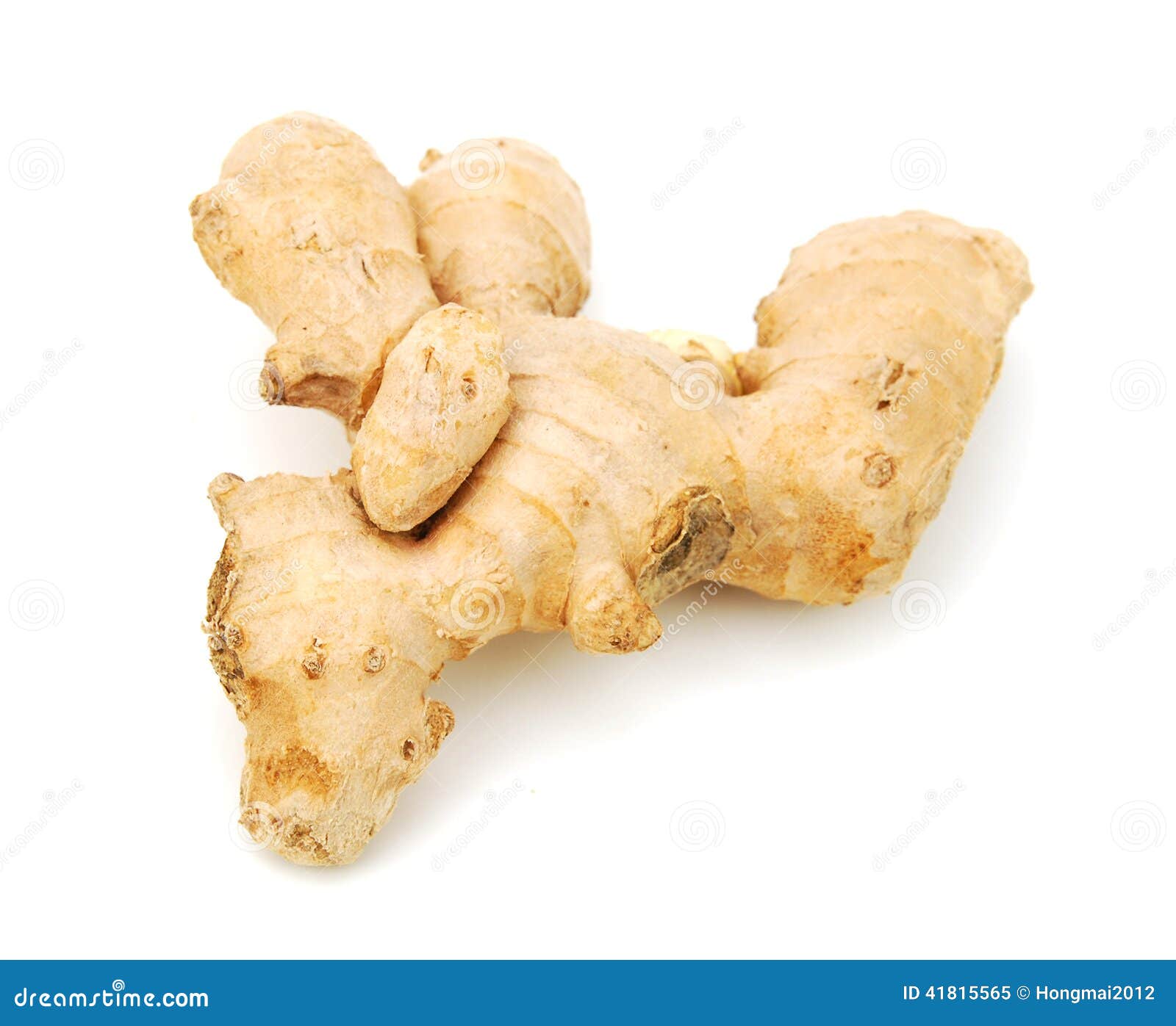 Ginger isolated stock image. Image of ethnicity, closeup 41815565
