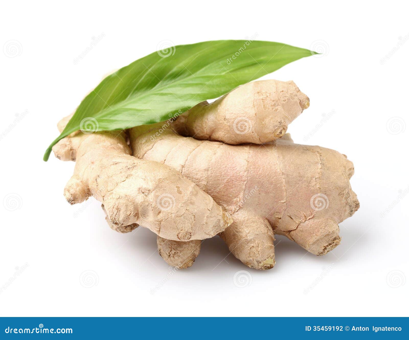 Ginger with leaf stock photo. Image of isolated, leaves 35459192