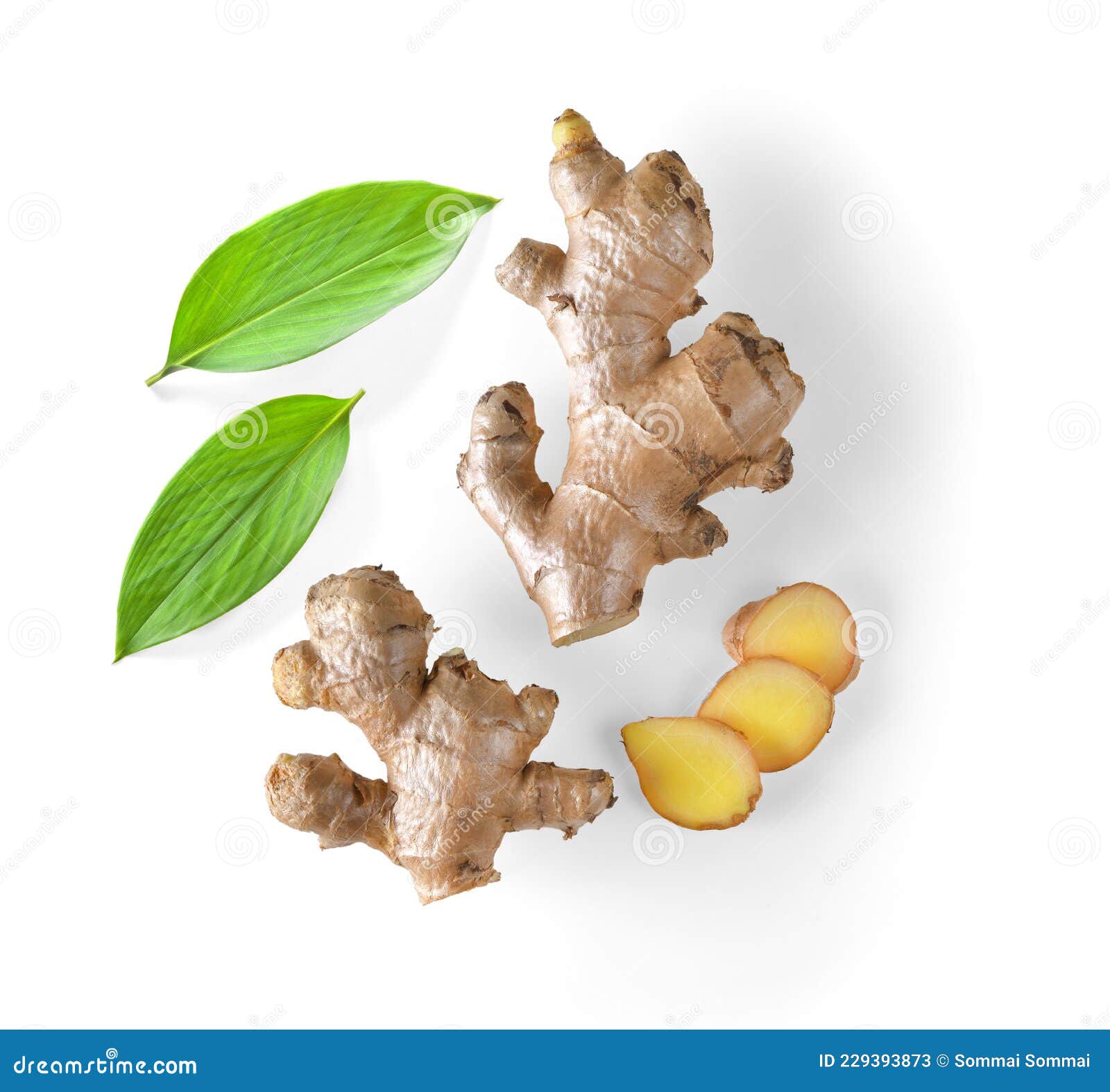 Ginger with Leaves Isolated on a White Stock Image Image of white