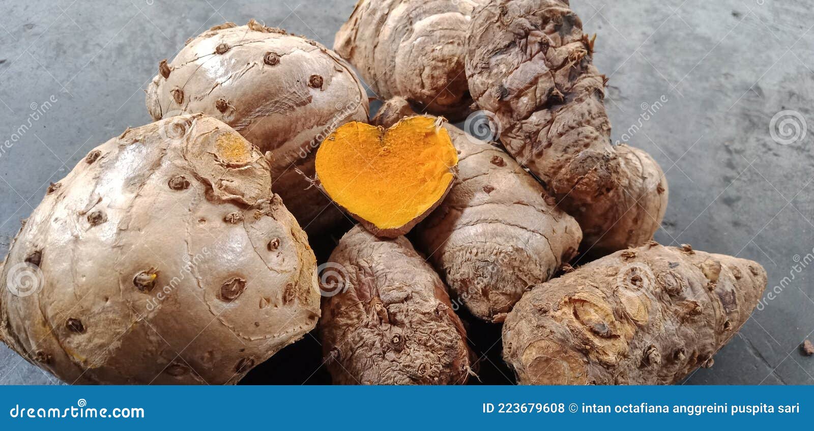 Ginger Medicinal Plant that Forms the Heart Stock Photo Image of
