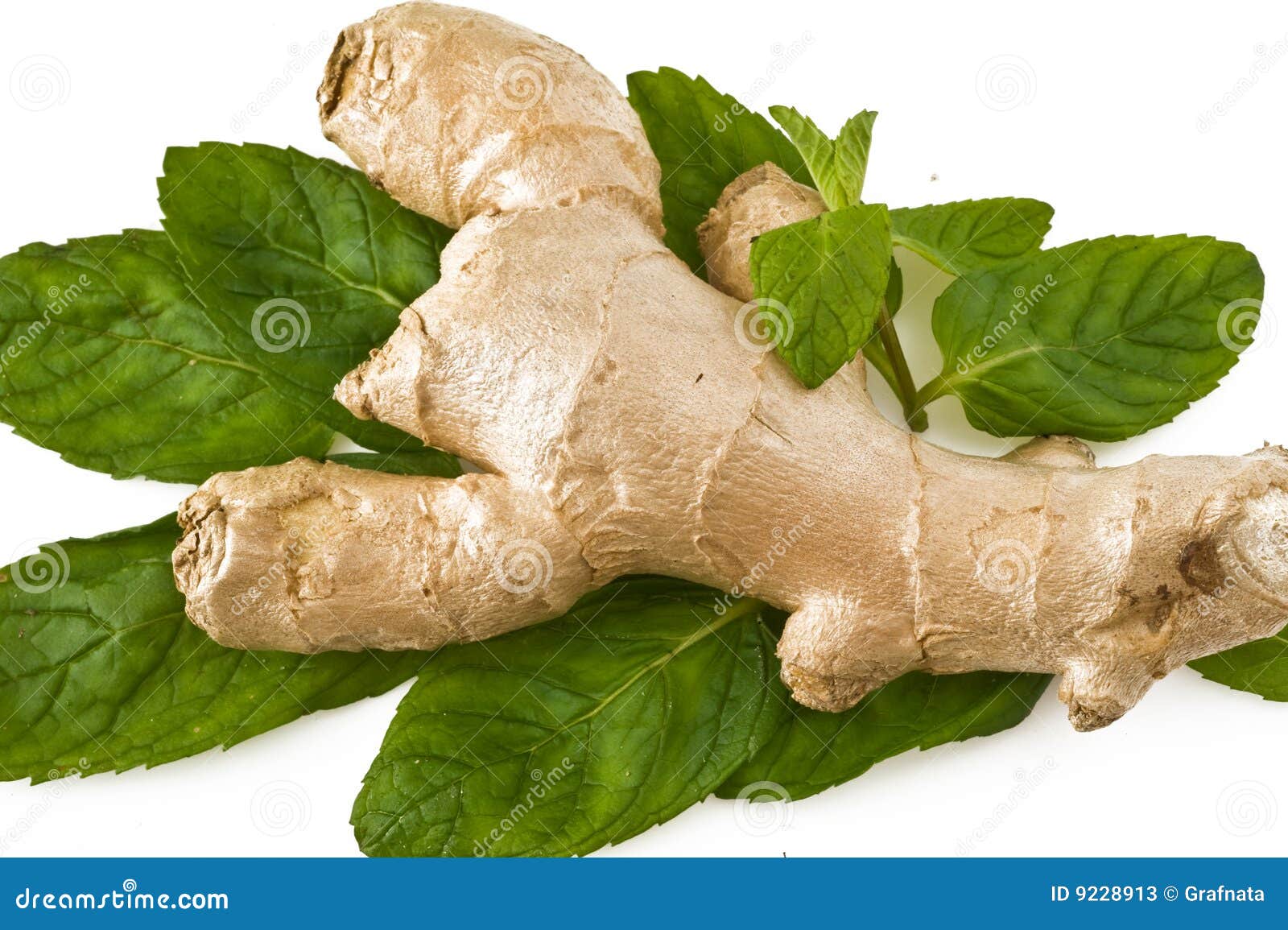 Ginger with mint stock image. Image of food, biology, background 9228913