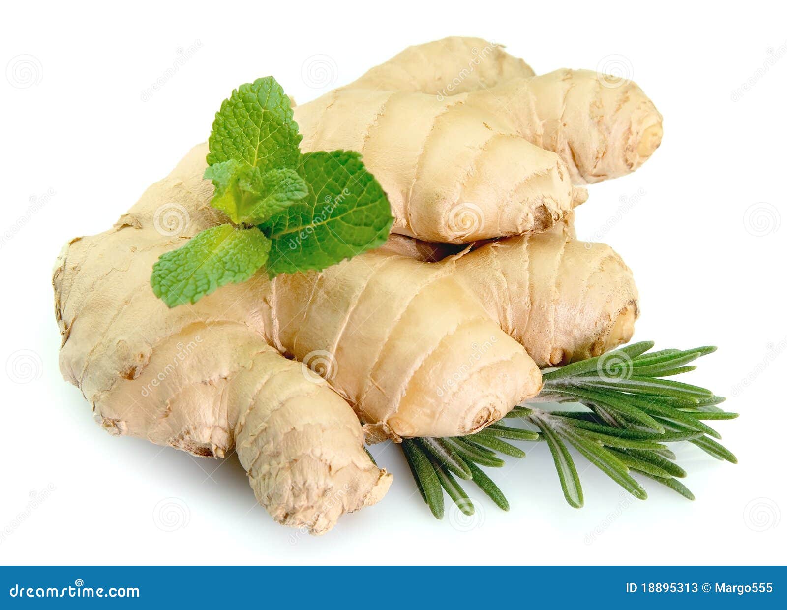 Ginger with Mint and Rosemary Stock Image Image of fresh, mint 18895313