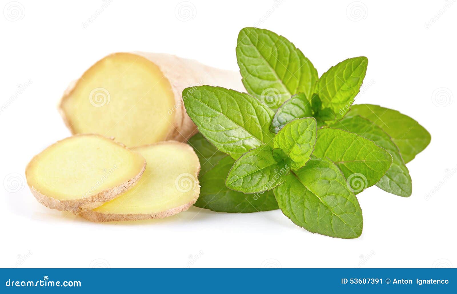 Ginger with mint stock image. Image of stem, medicine 53607391