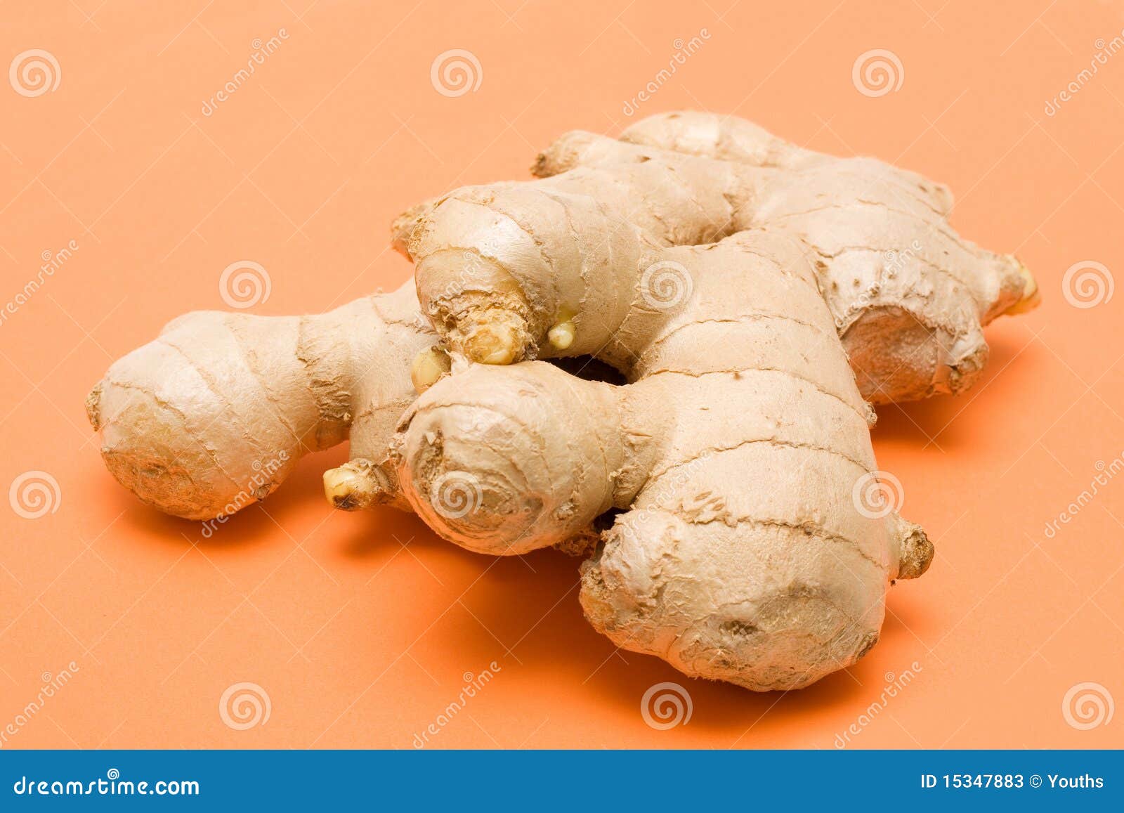Ginger root stock image. Image of botany, curry, drink 15347883