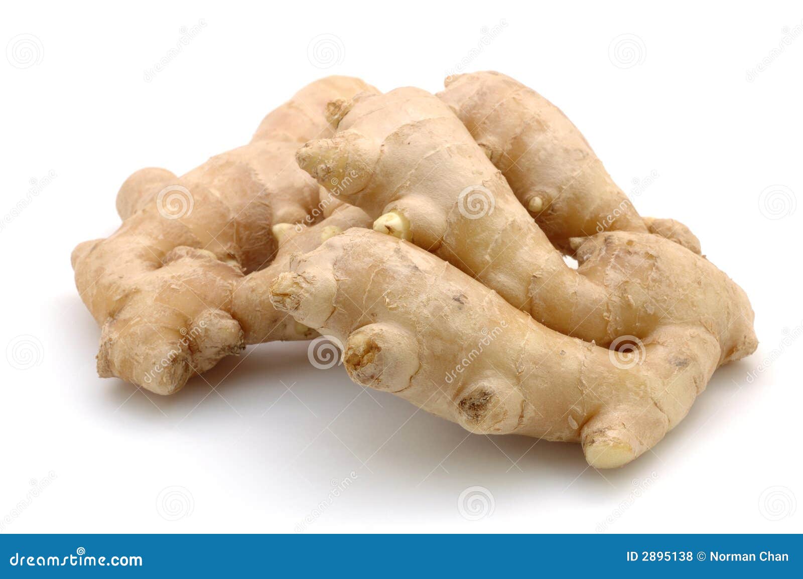 Ginger root stock photo. Image of taste, flavor, chinese 2895138