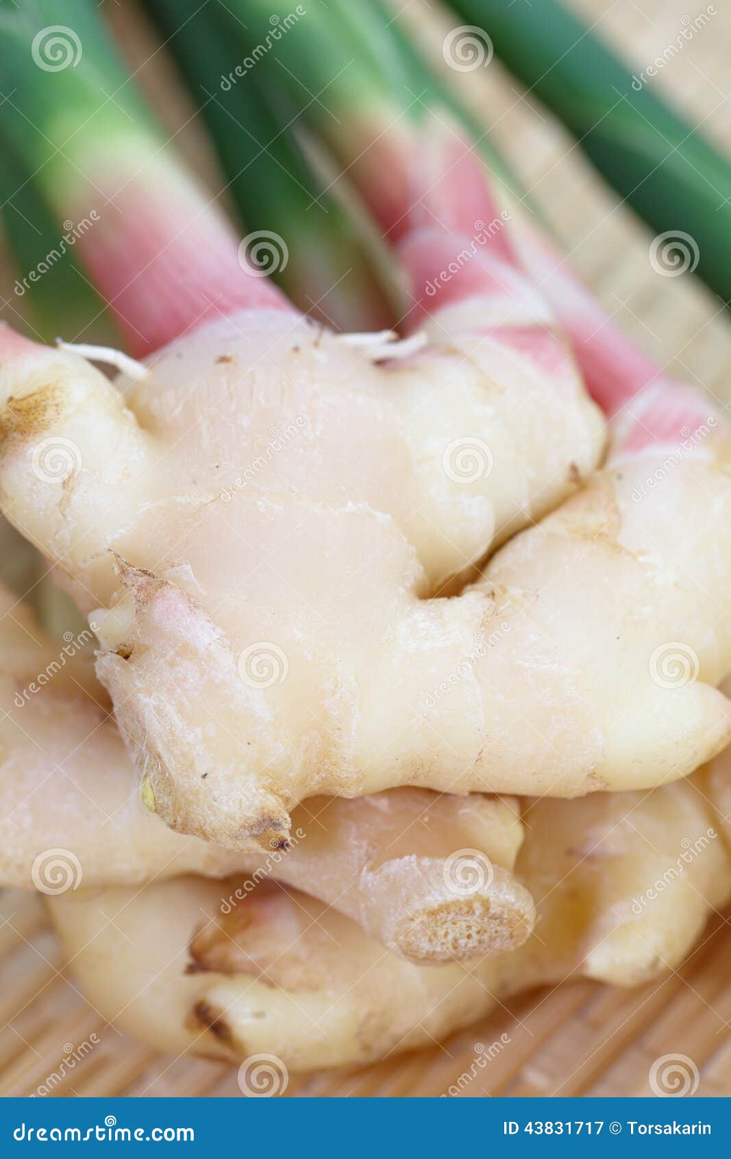 Ginger root stock image. Image of healthy, root, organic 43831717