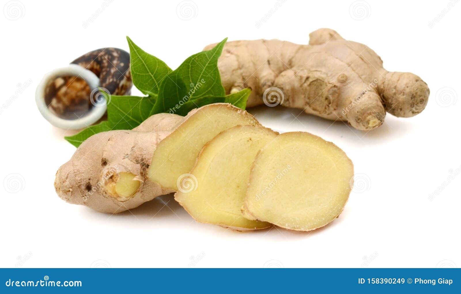 Ginger root with leaves. stock image. Image of graphics 158390249