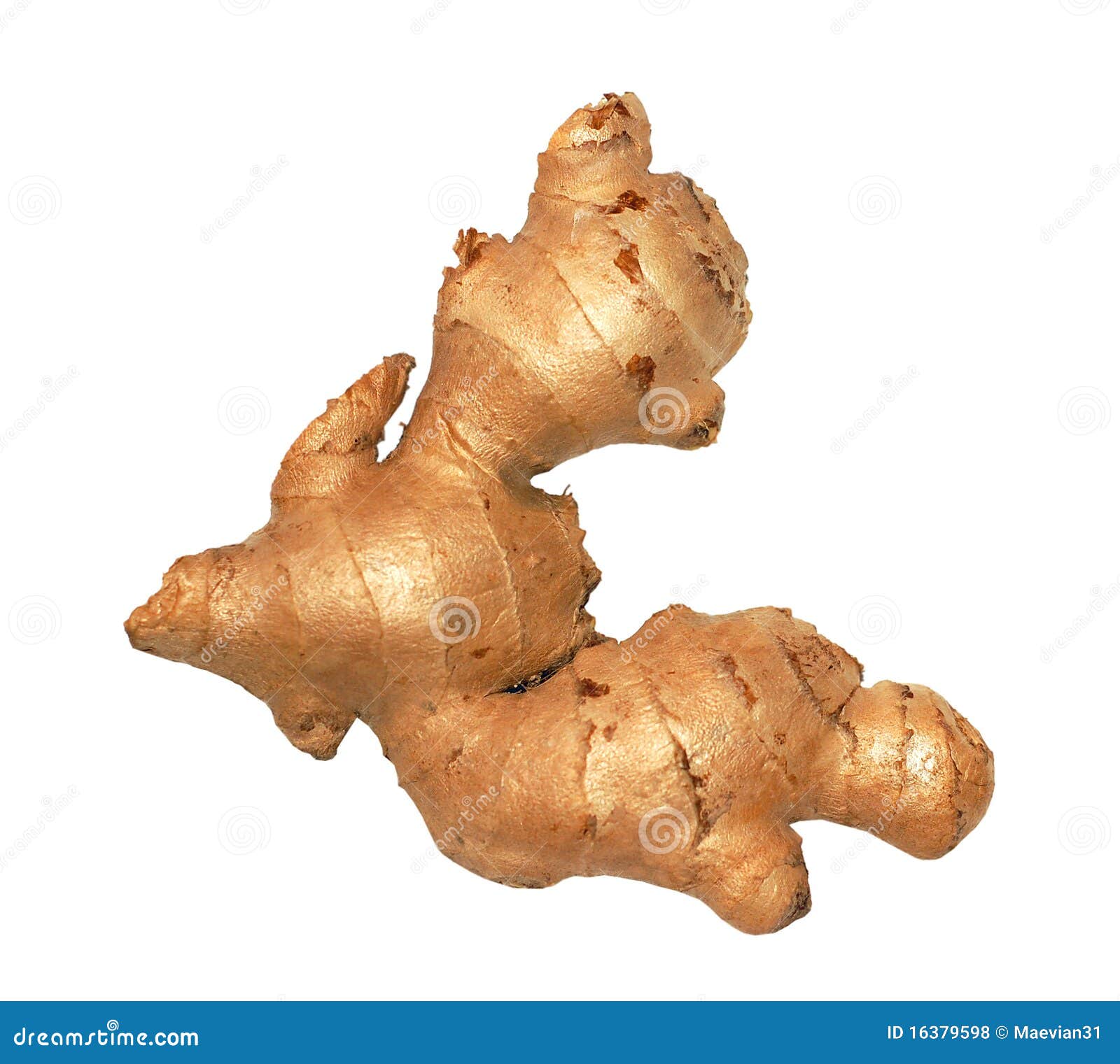 ginger root / rhizome