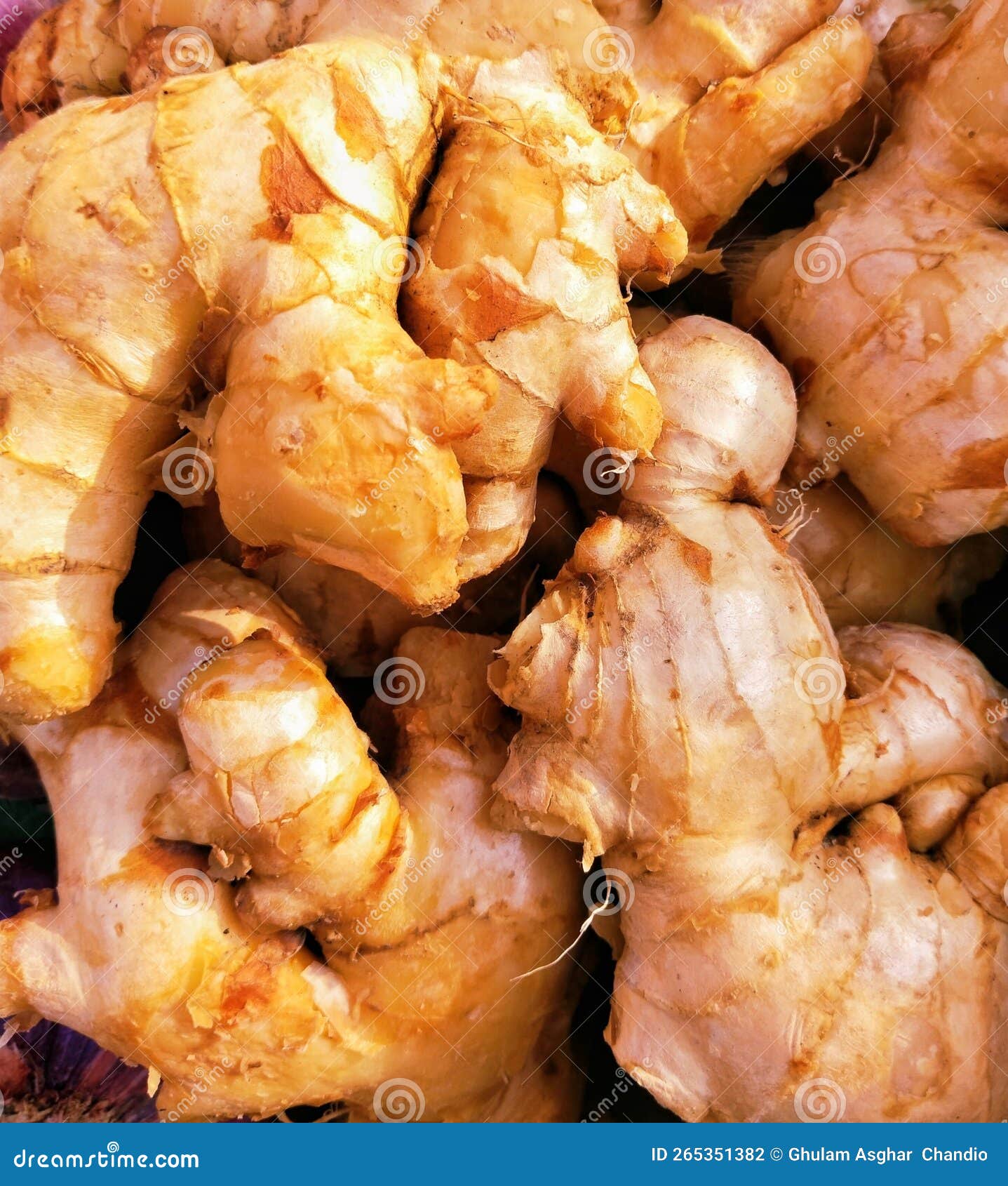 ginger root spice a pungent aromatic rhizome of a tropical asian herb indian adarak chinese culinary and folk medicine photo