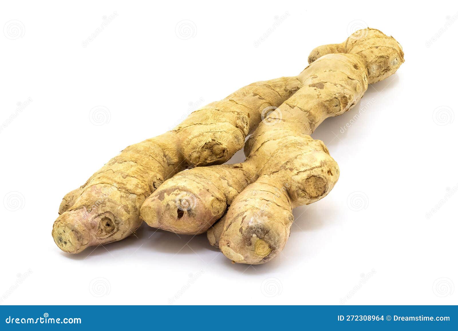Ginger Root on White Isolated Background. Full Depth of Clarity Stock
