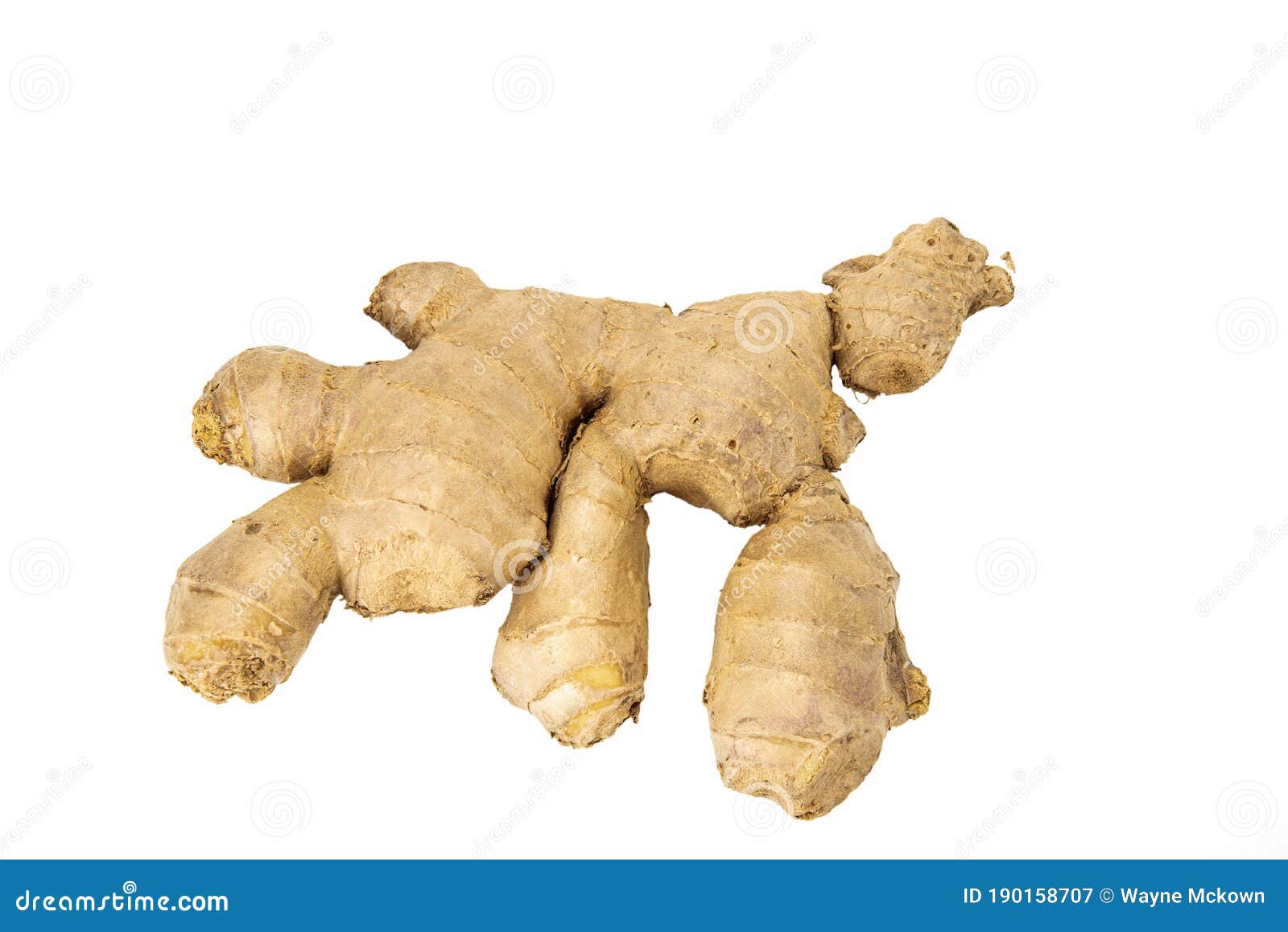 Ginger root,whole stock image. Image of china, ginger 190158707