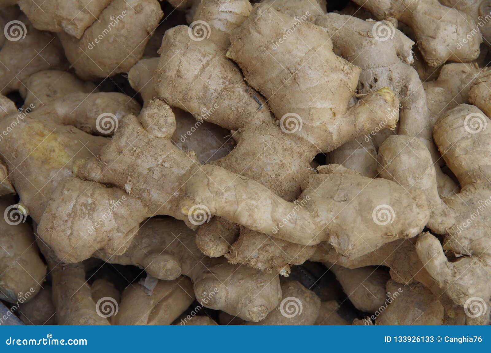 Ginger stock image. Image of spices, outdoor, spicy 133926133