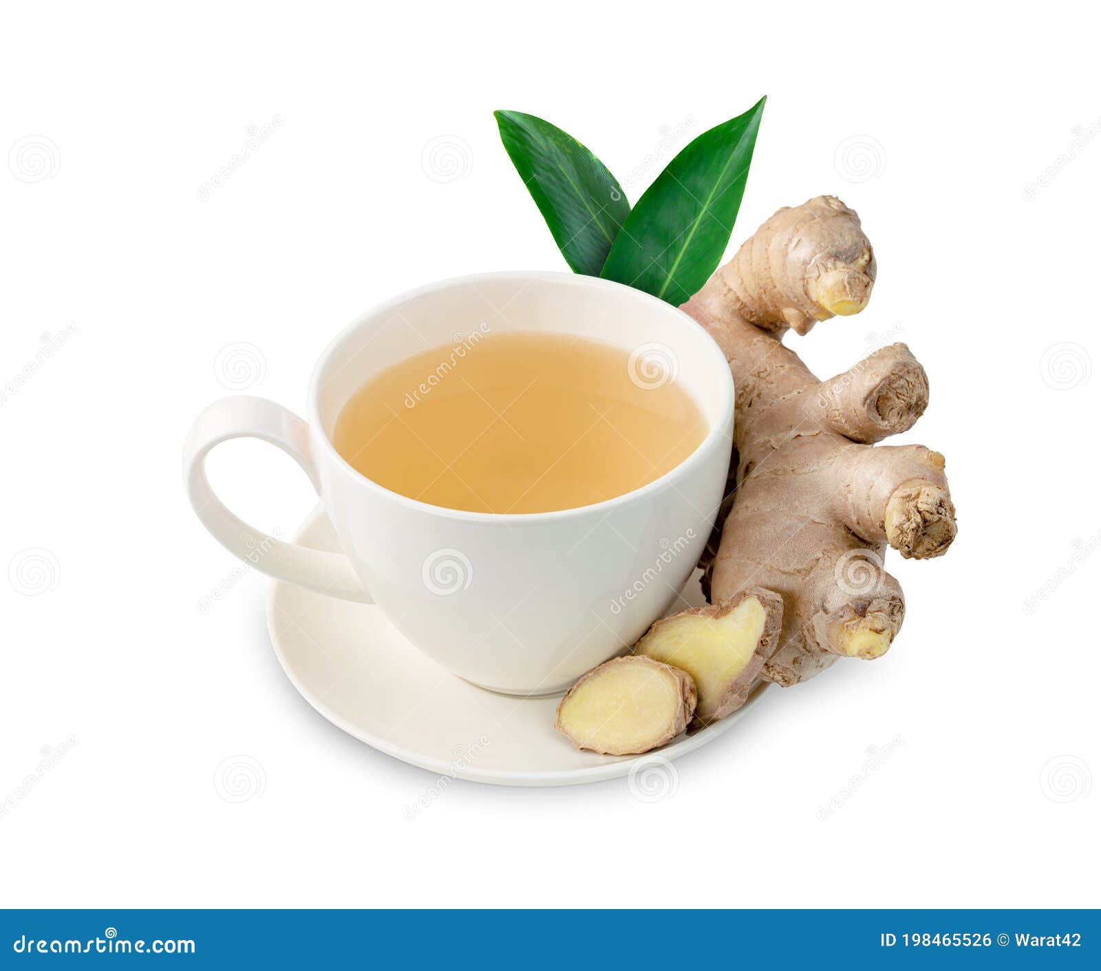 Ginger Tea in Glass Cup and Leaves Isolated on White Background Stock Photo Image of beverages