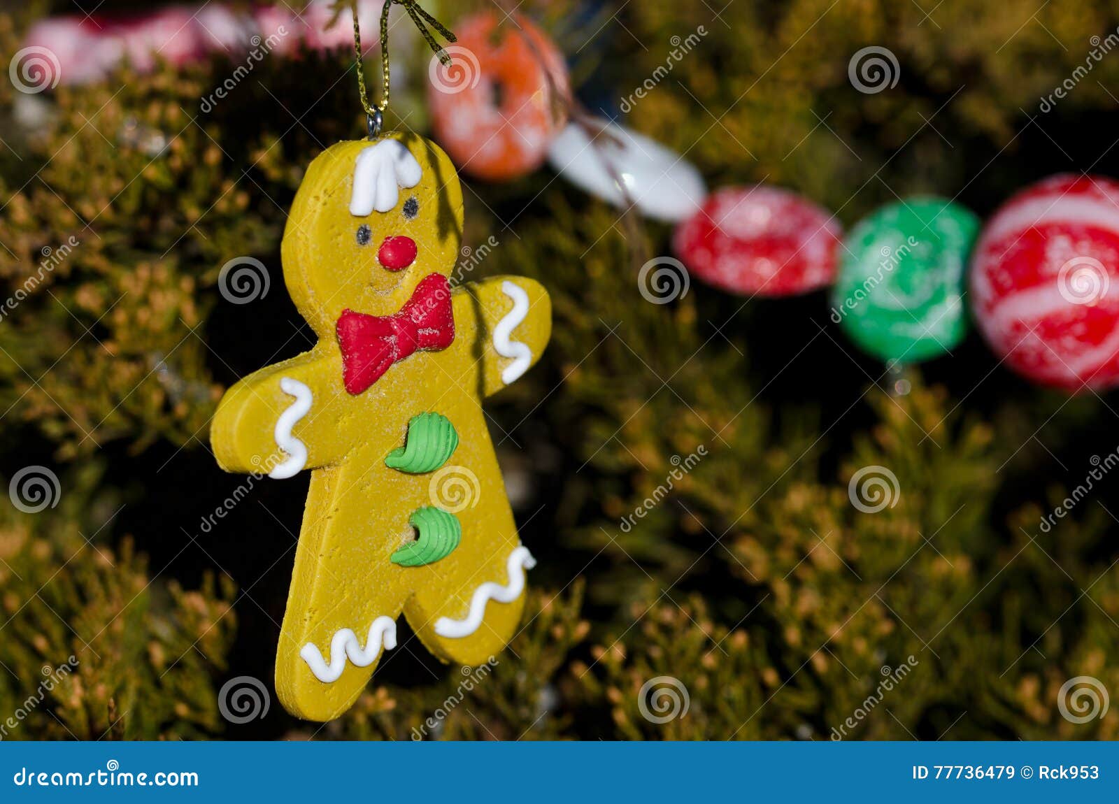 Gingerbread Man Decoration on an Outdoor Christmas Tree Stock Image